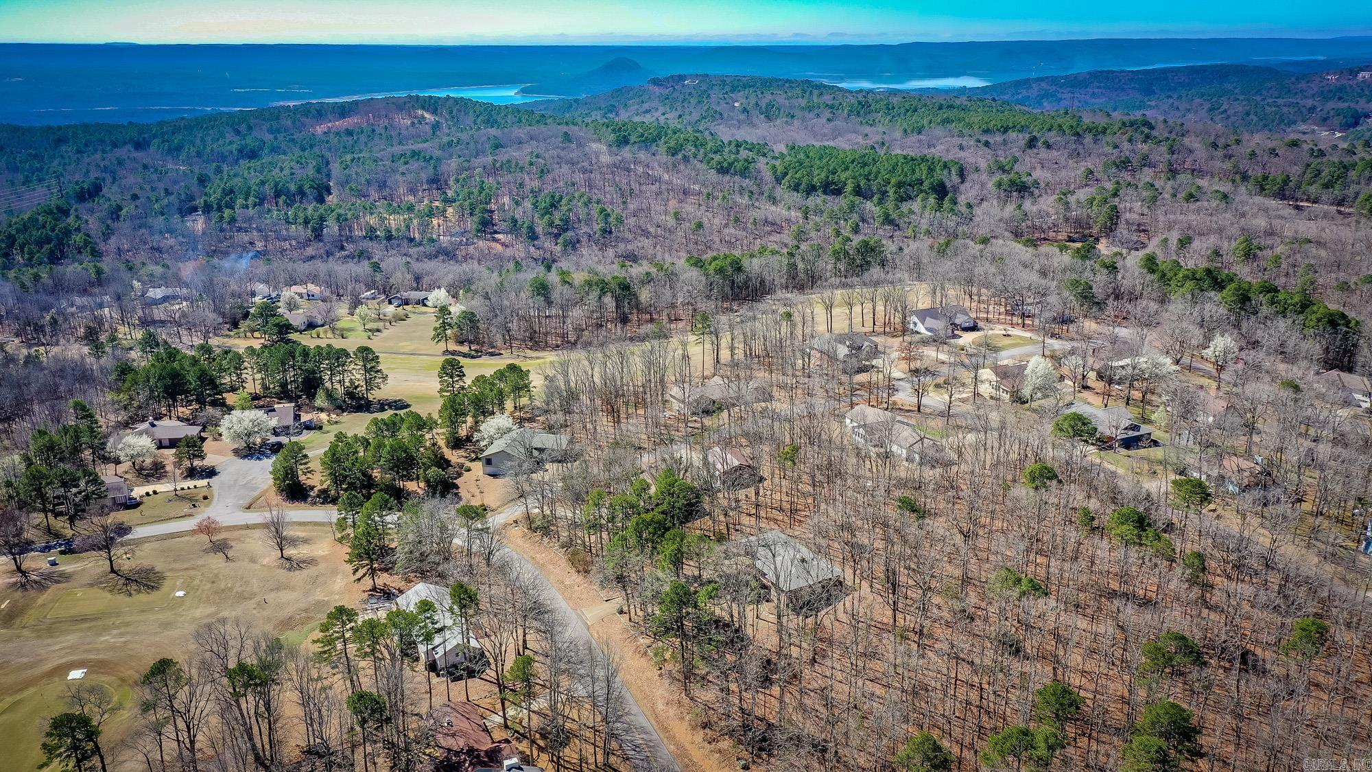 318 Castle Ridge Heights Property Photo 47