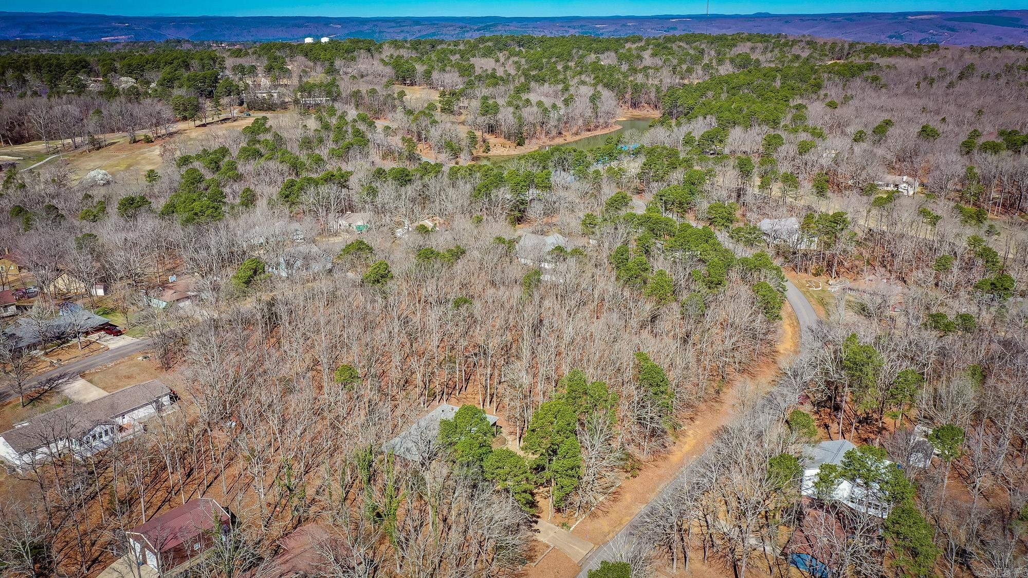 318 Castle Ridge Heights Property Photo 48