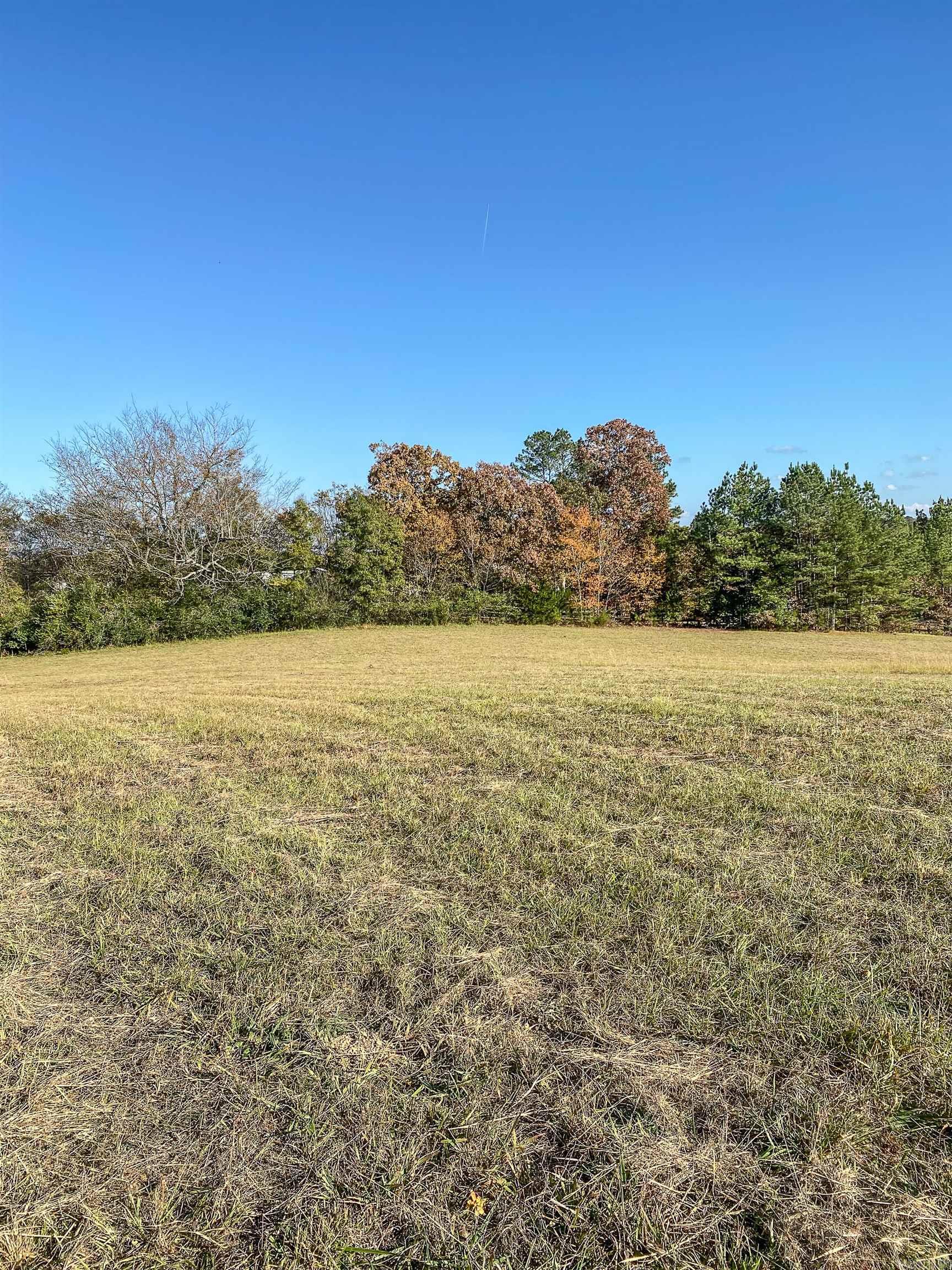 3109 Sunshine Road Property Photo 10