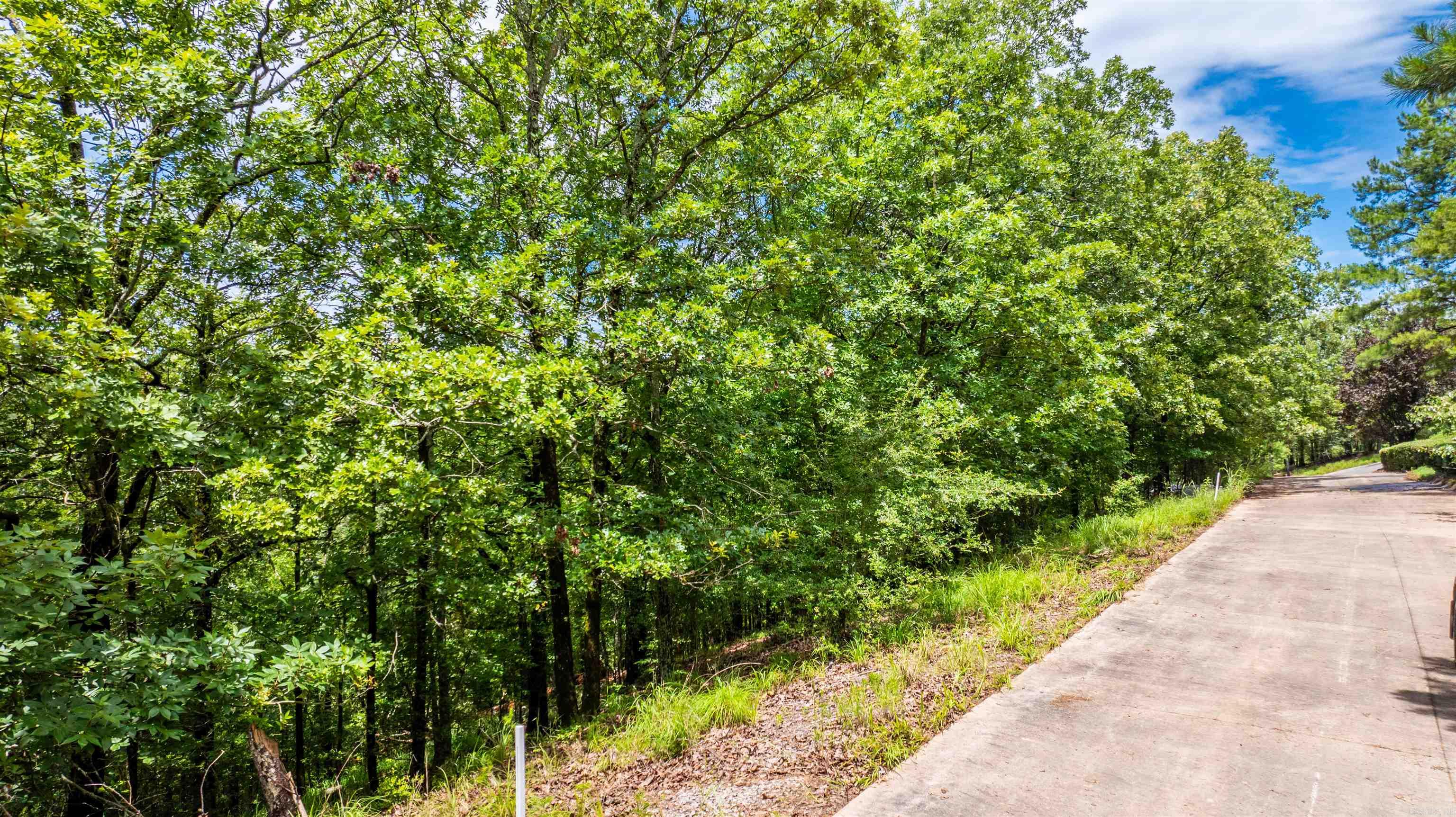 11 Vantage Point Property Photo 5