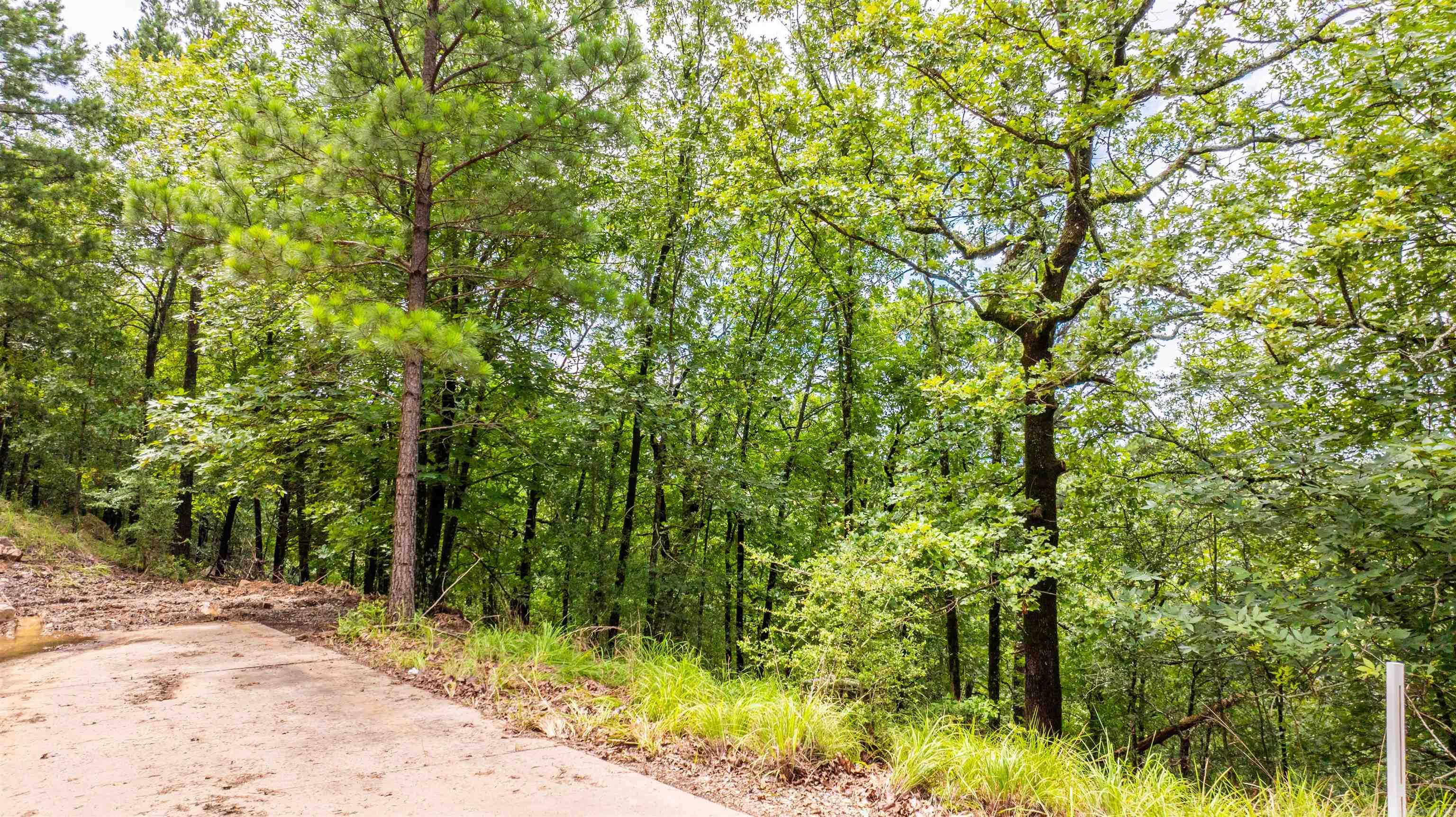 11 Vantage Point Property Photo 22