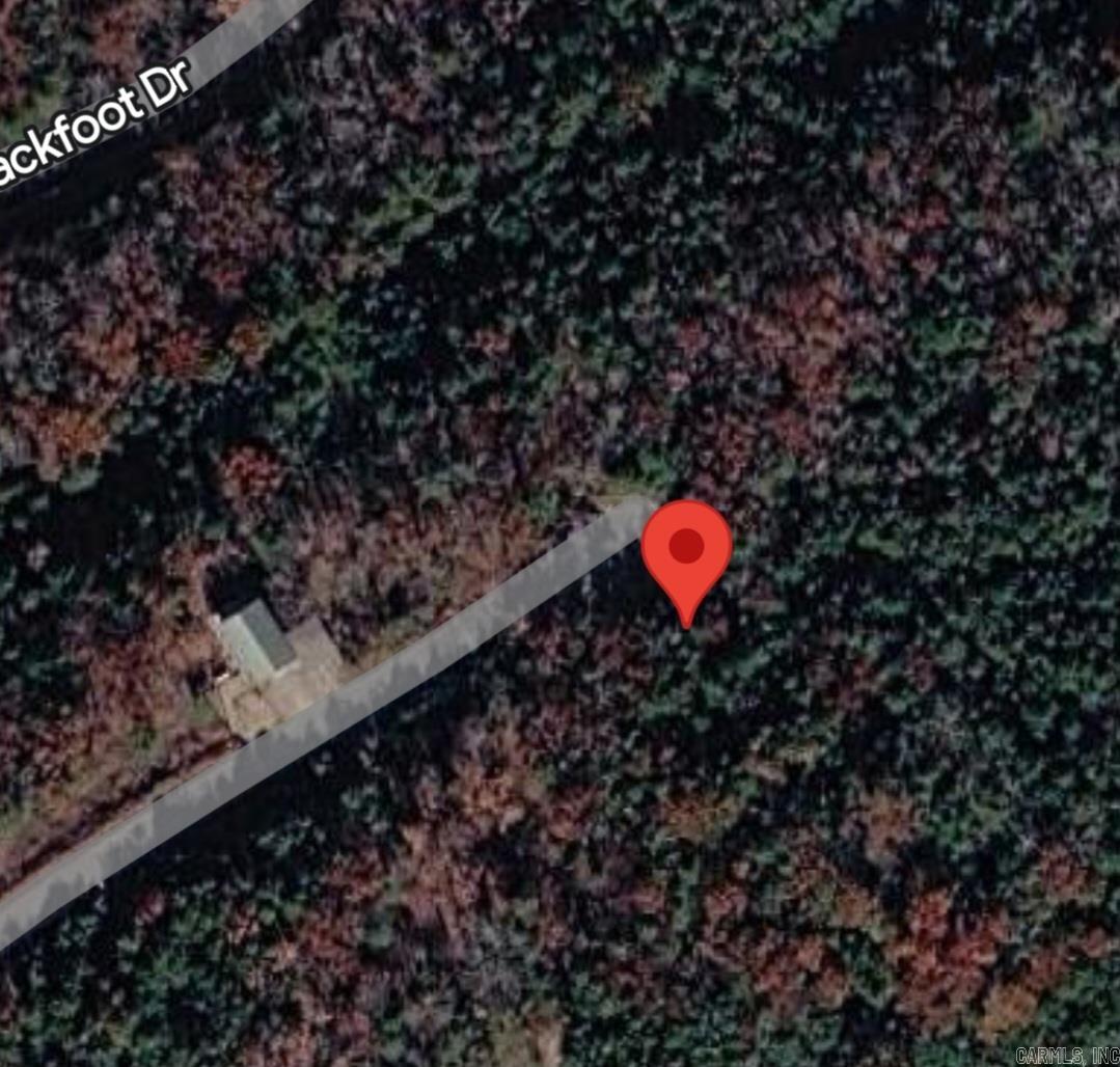 Lot 1 Cherokee Lane Property Photo 4