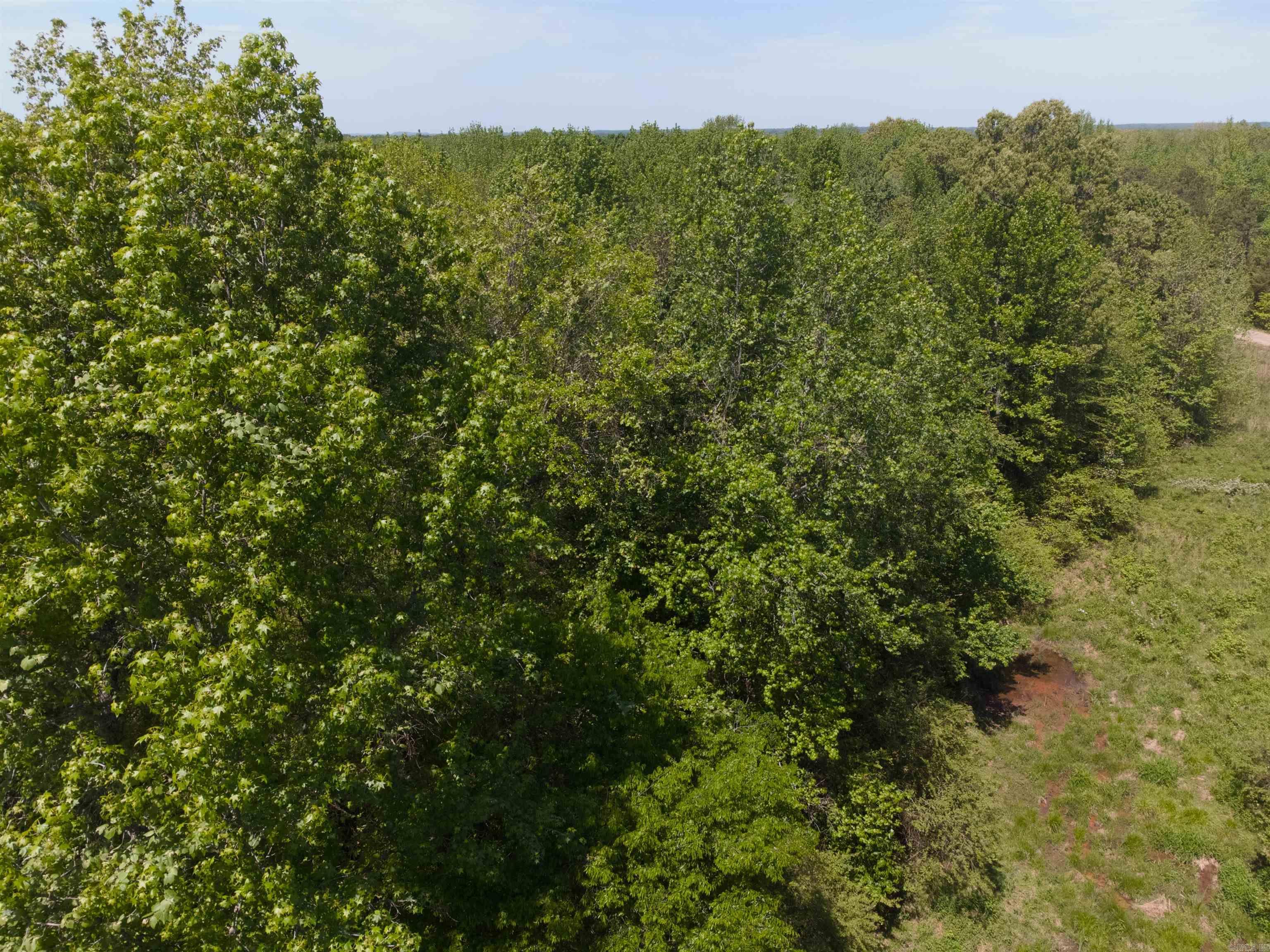 10 Acres Off Turner Road Property Photo 4