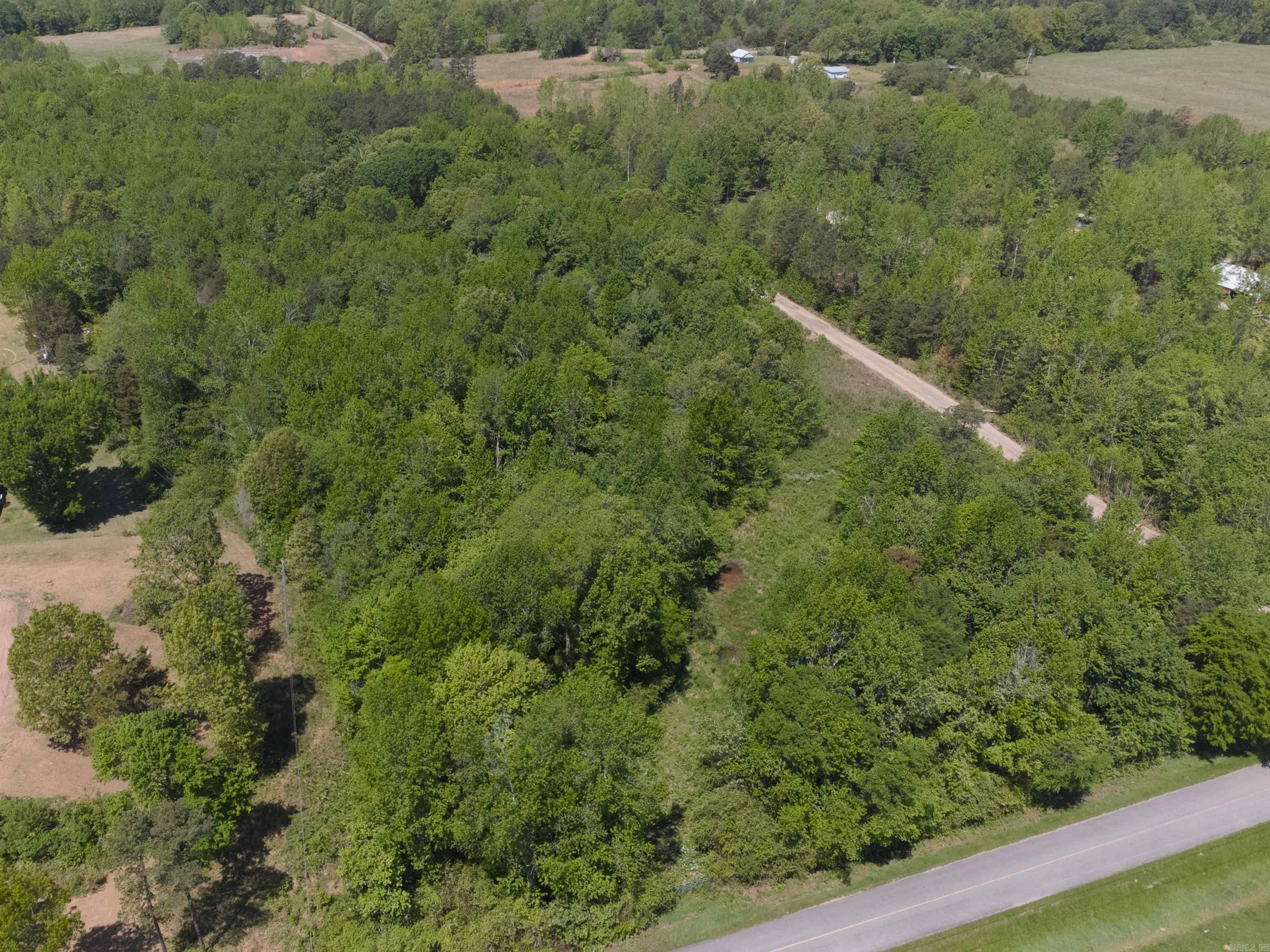 10 Acres Off Turner Road Property Photo 5