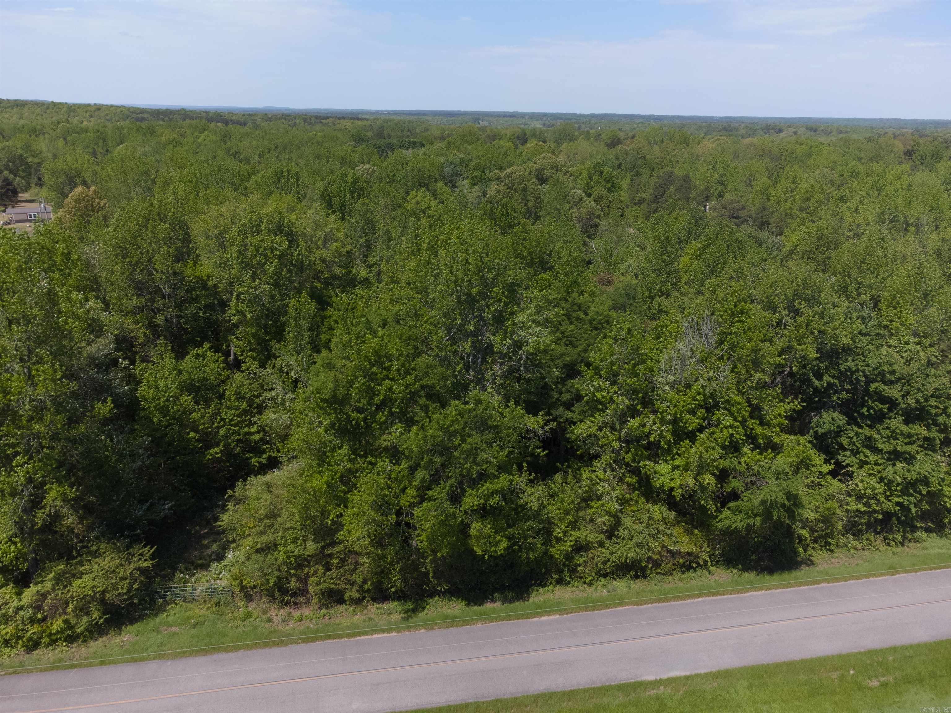 10 Acres Off Turner Road Property Photo 6