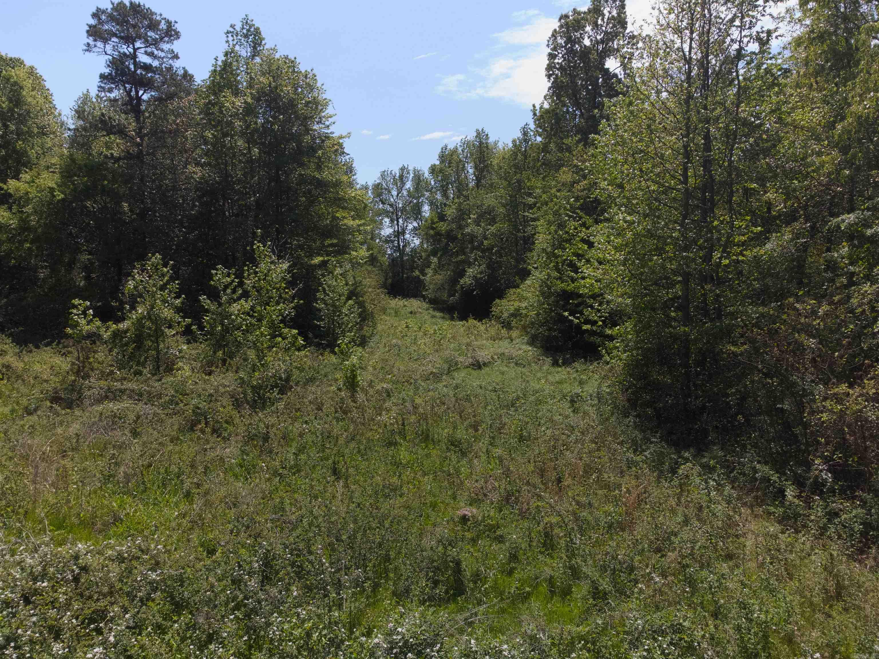 10 Acres Off Turner Road Property Photo 8