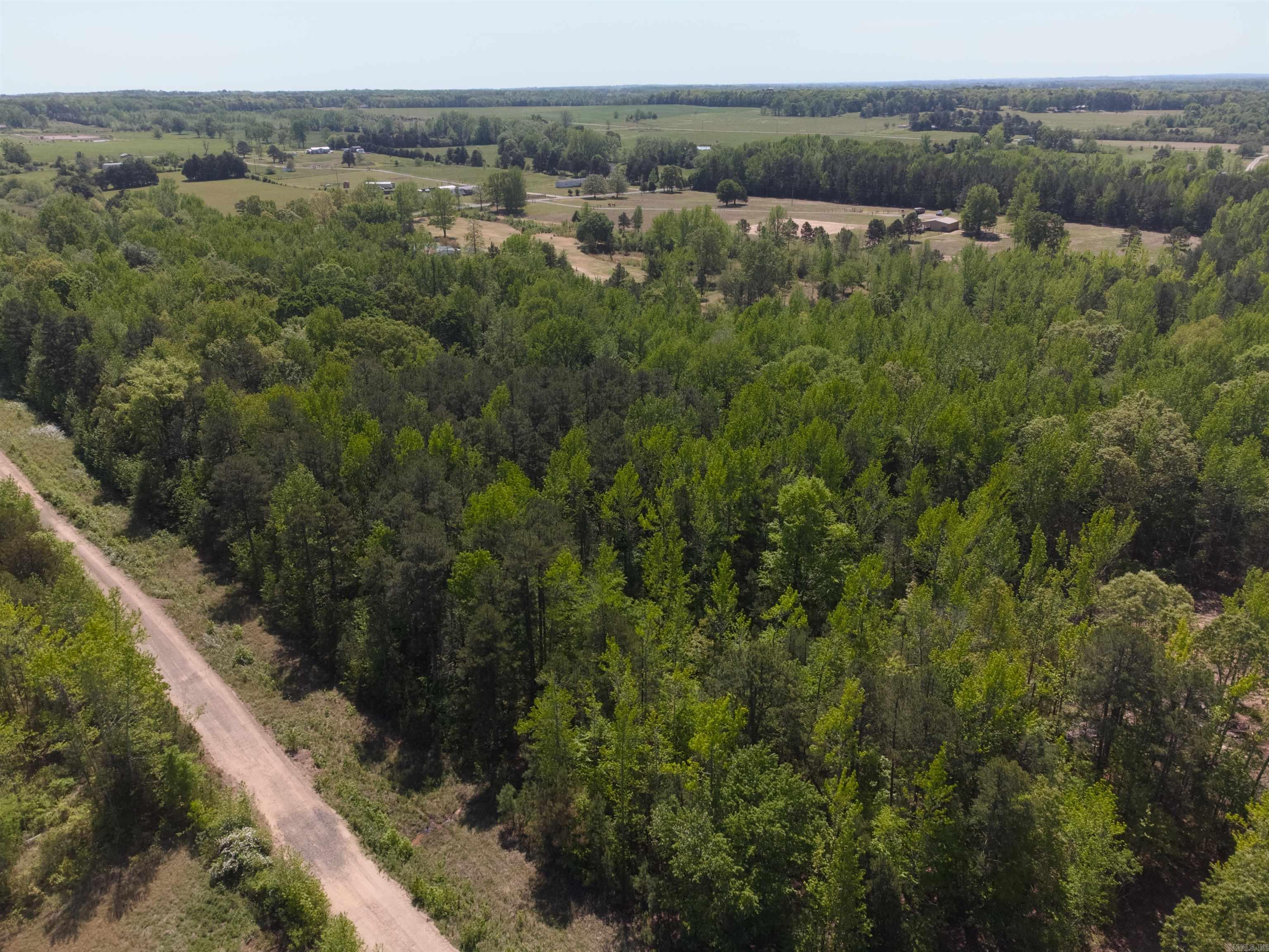 10 Acres Off Turner Road Property Photo 12