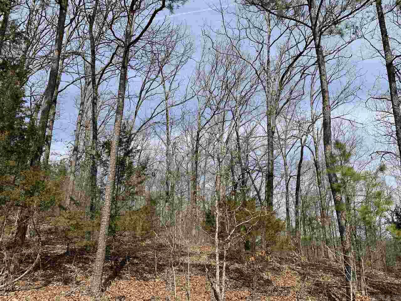 Lot 68 Lower Ridge Circle Property Photo 1