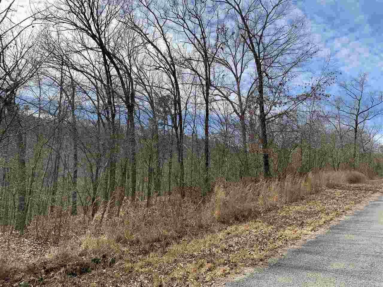 Lot 36 Lower Ridge Circle Property Photo 2