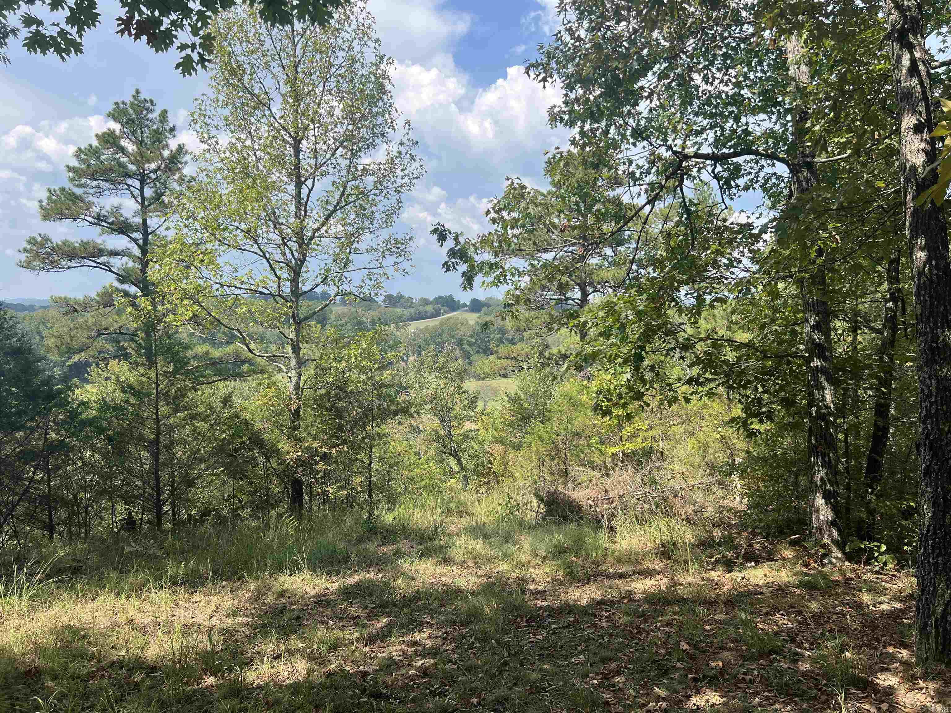 1435 Burnt Ridge Rd (mobile) Property Photo 6