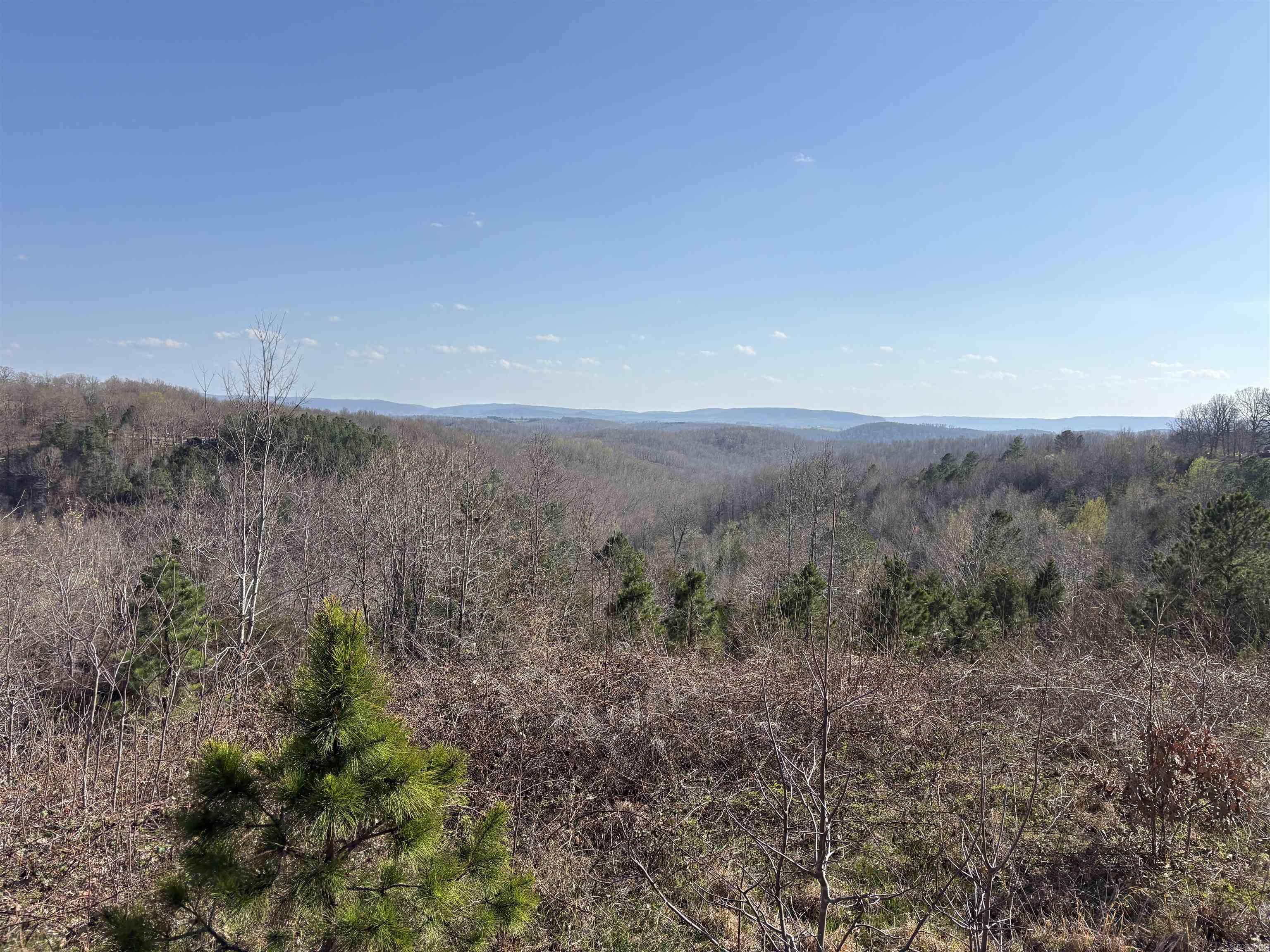 000 Fawn Road Property Photo 4