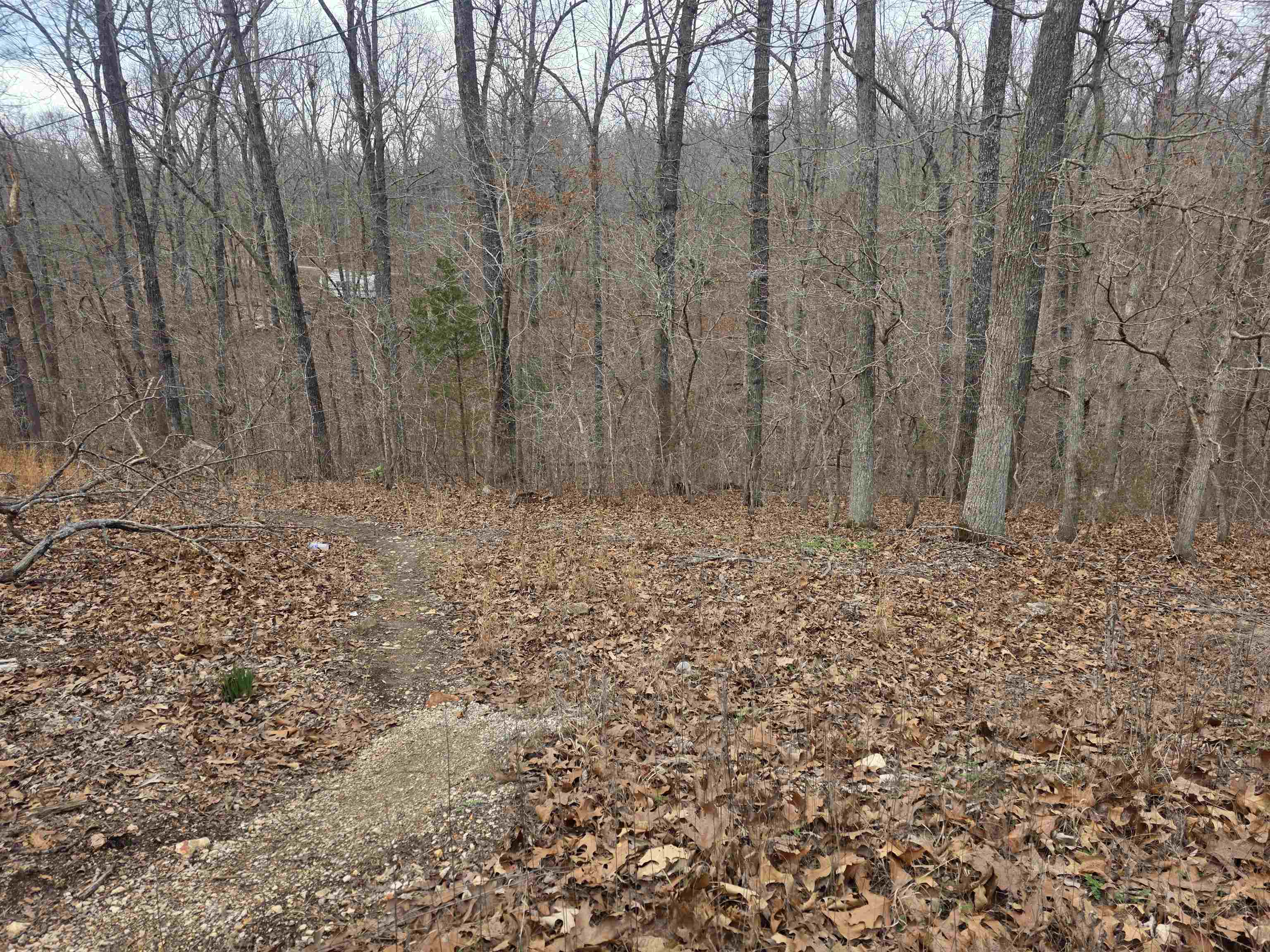 6 Lots S Summit Ridge Drive Property Photo 3