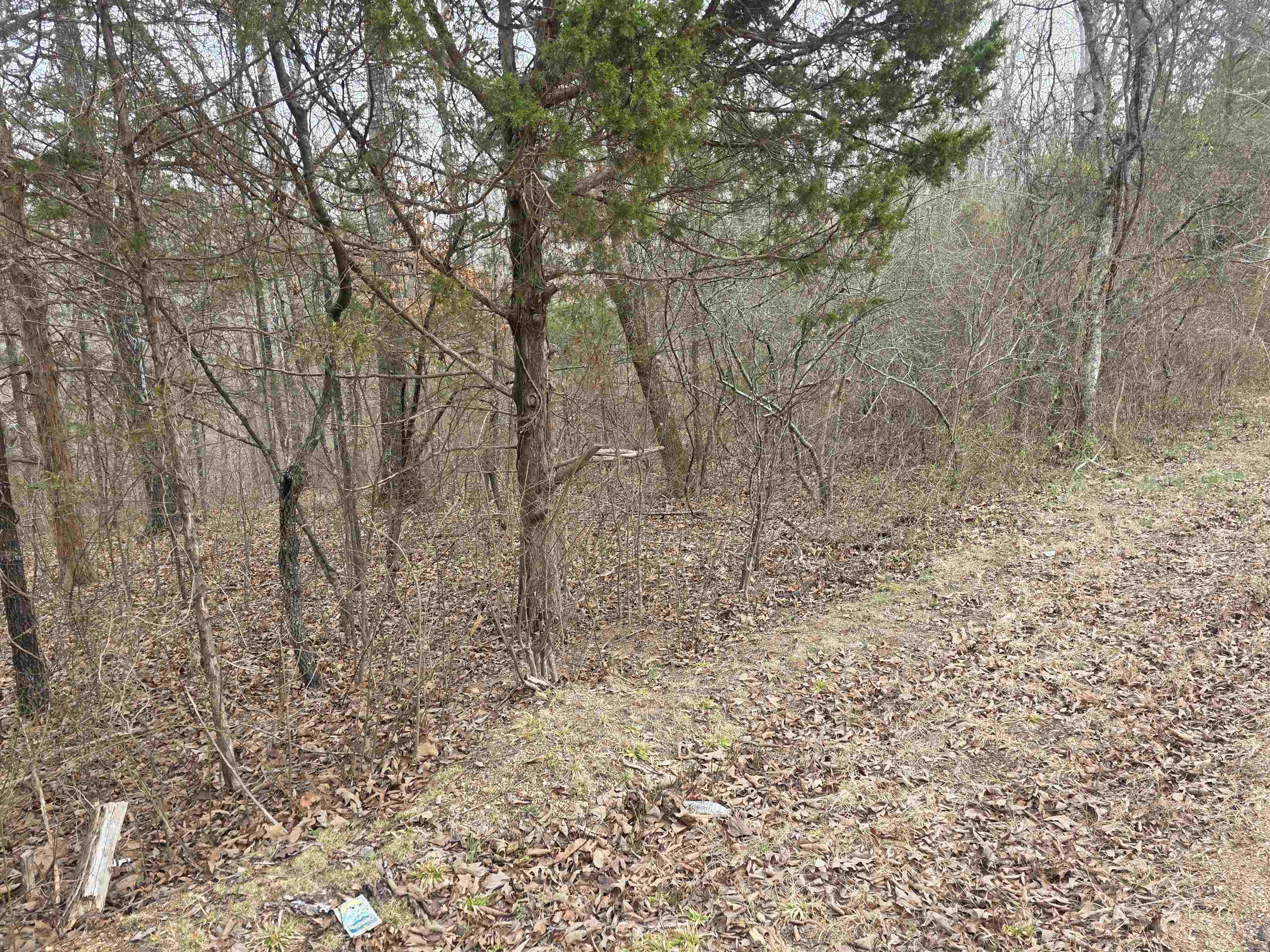 6 Lots S Summit Ridge Drive Property Photo 28