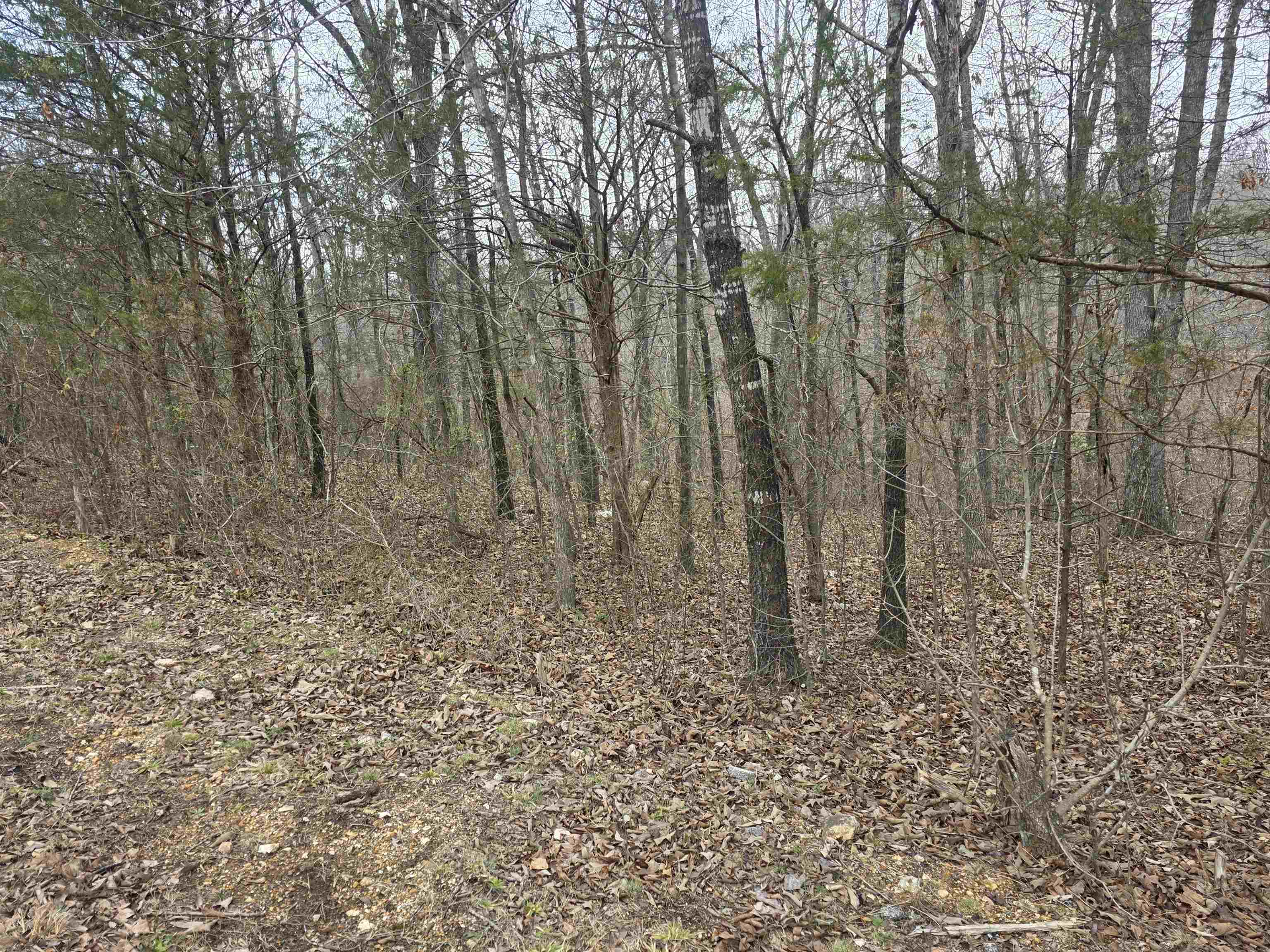 6 Lots S Summit Ridge Drive Property Photo 30