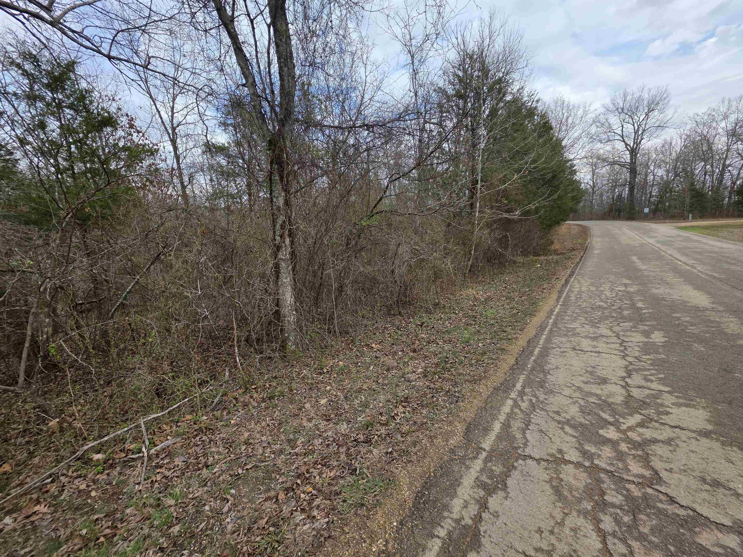 L14 B3 S Summit Ridge Drive Property Photo 2