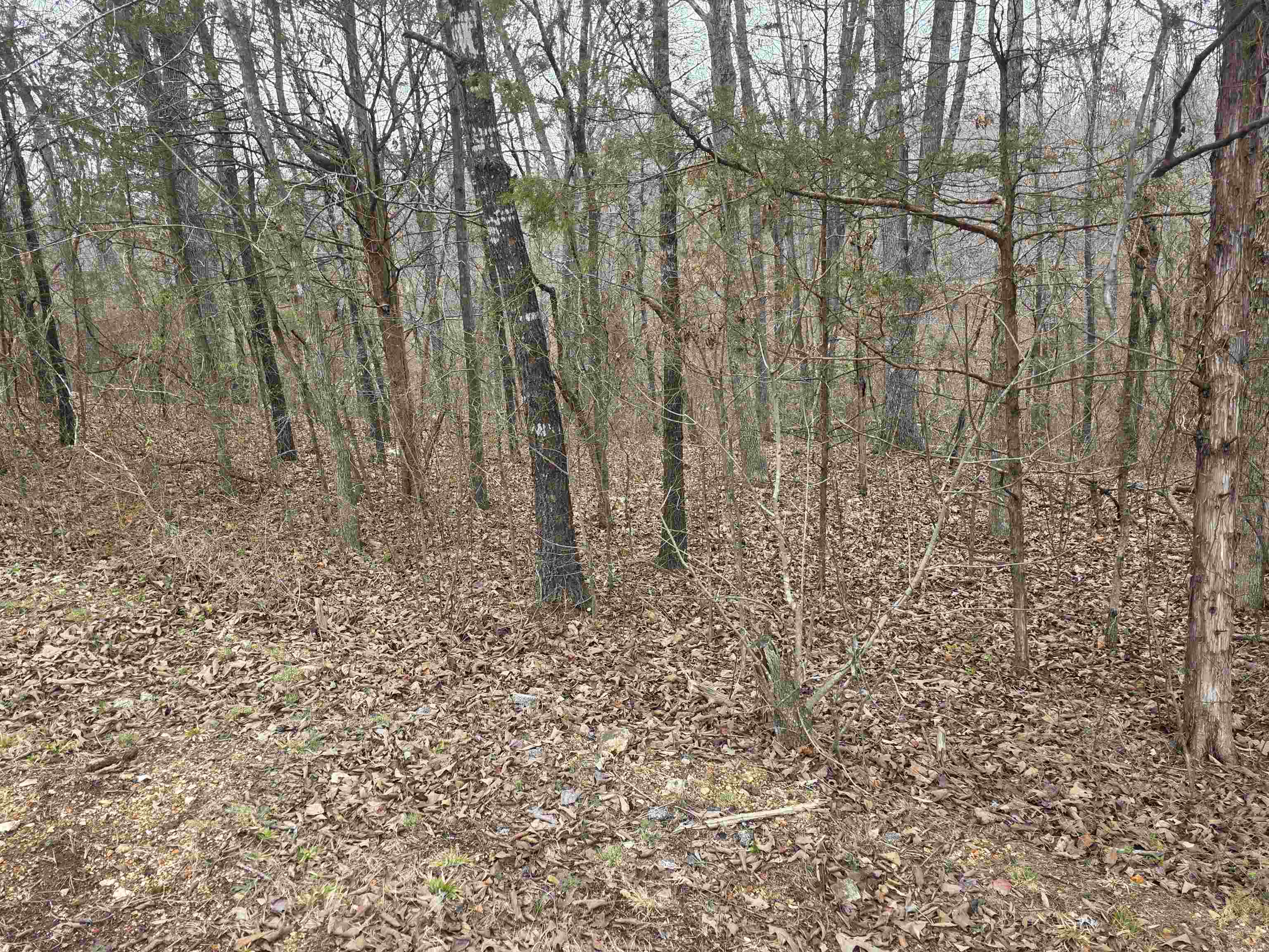 L14 B3 S Summit Ridge Drive Property Photo 6