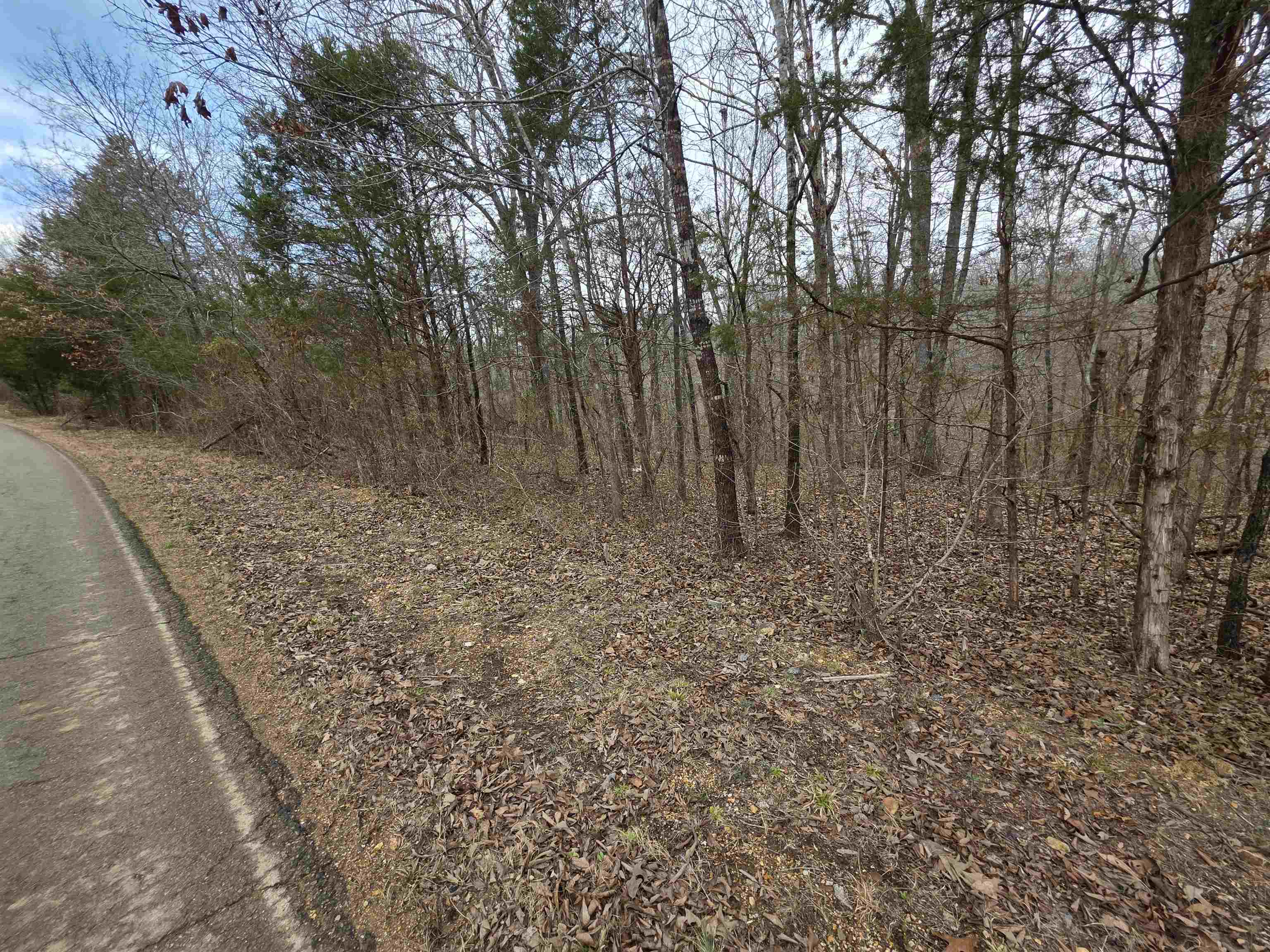 L14 B3 S Summit Ridge Drive Property Photo 8