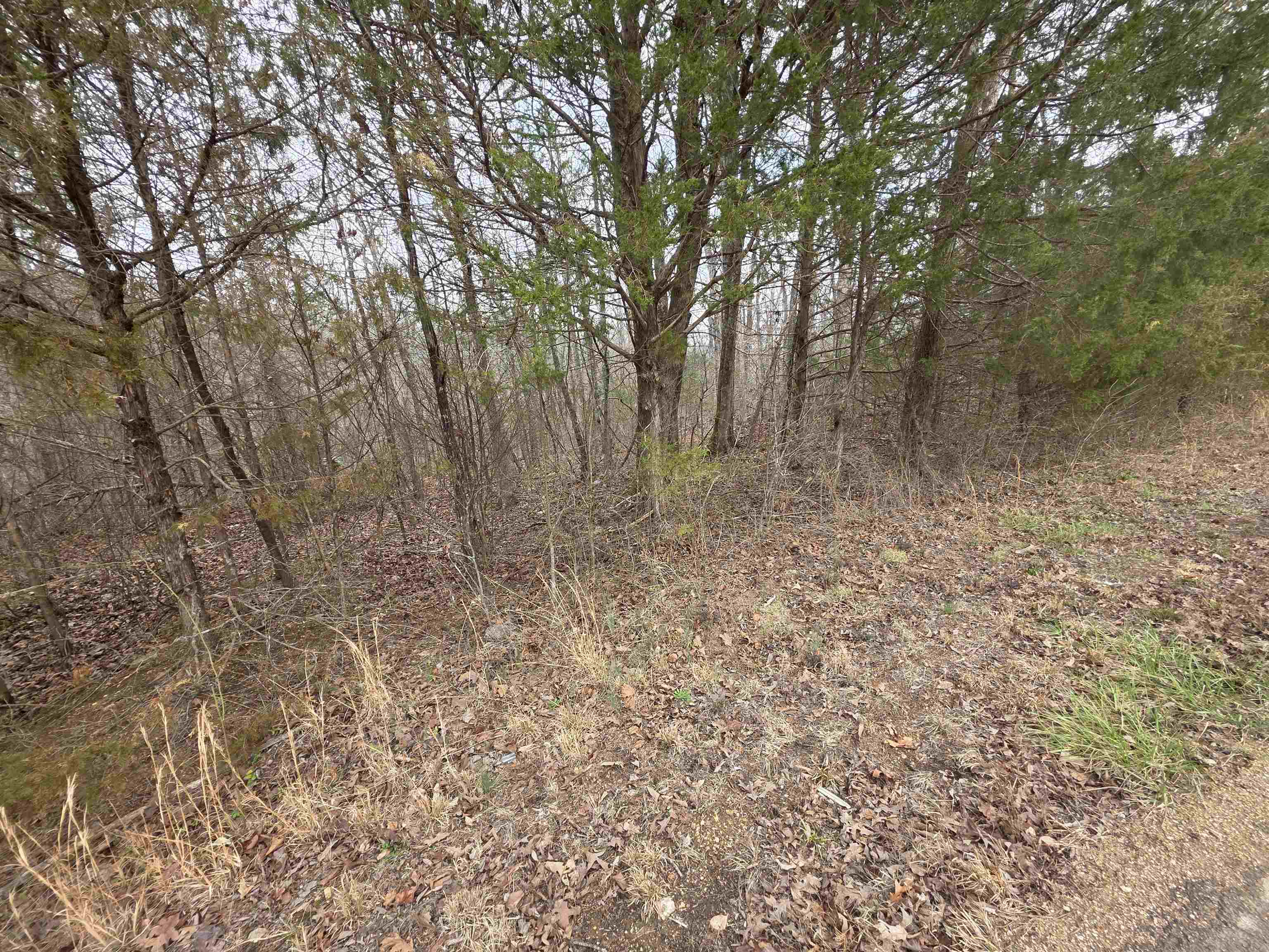 L14 B3 S Summit Ridge Drive Property Photo 9