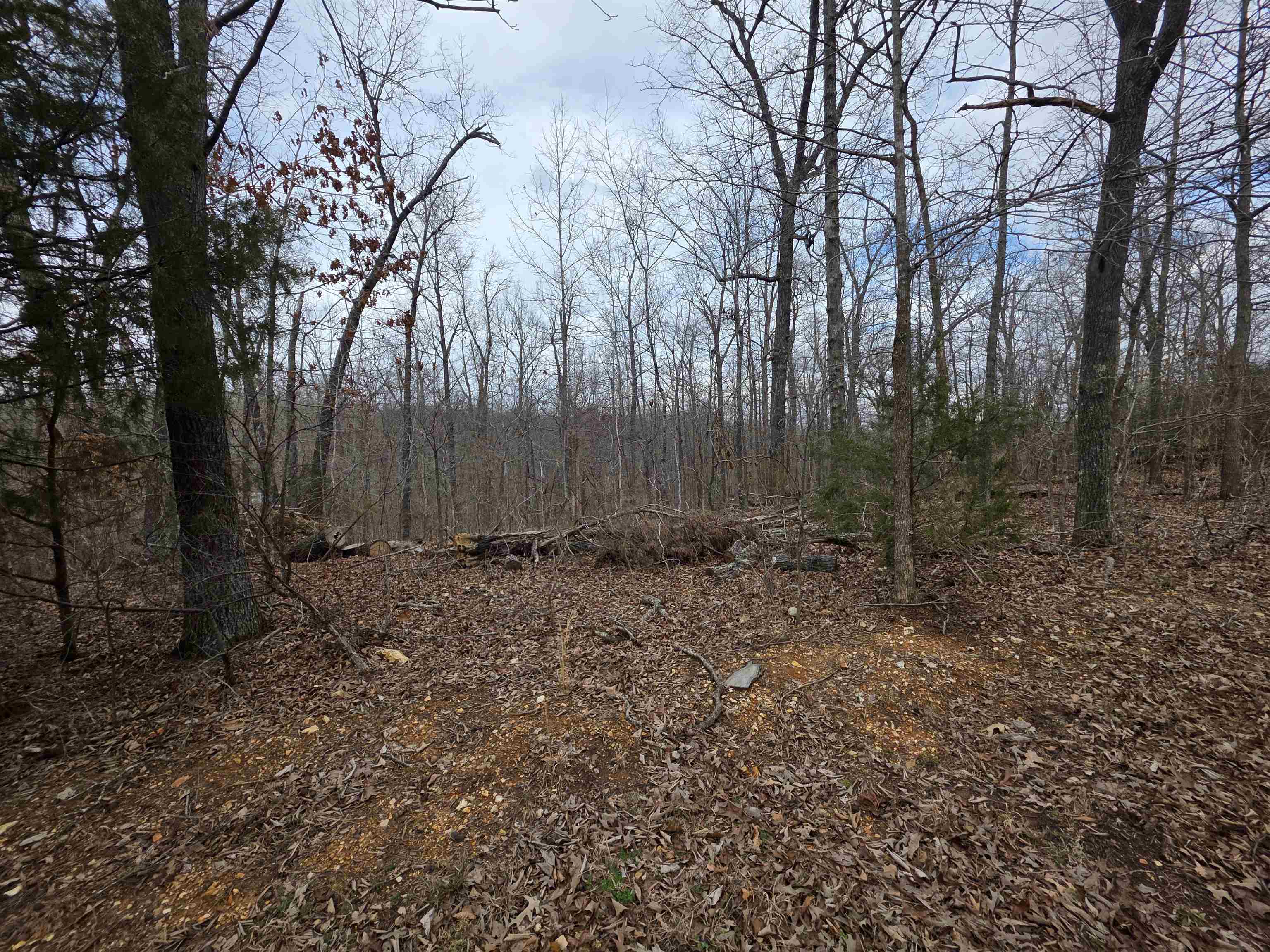 L14 B3 S Summit Ridge Drive Property Photo 10