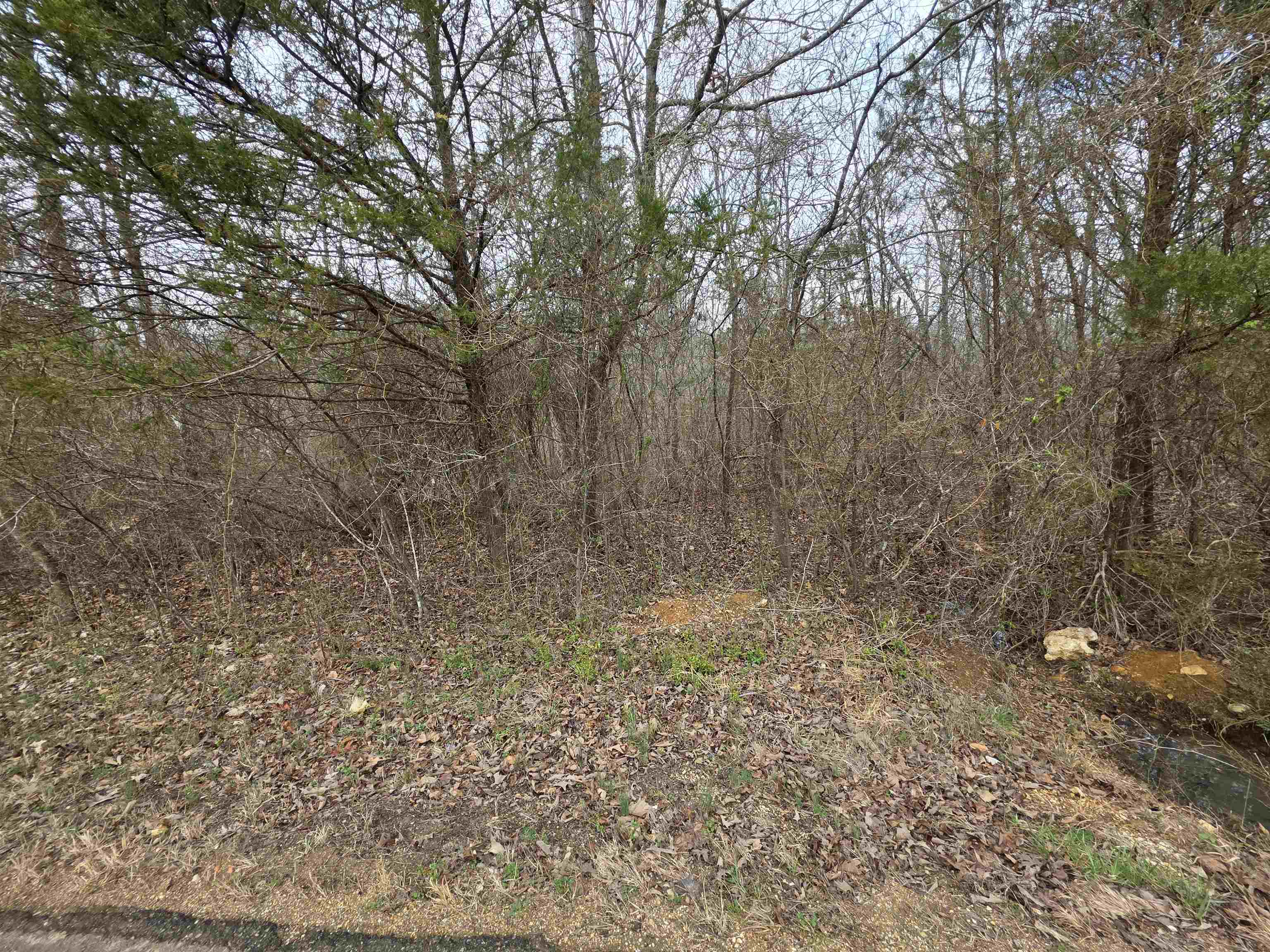 L15 B3 S Summit Ridge Drive Property Photo 1