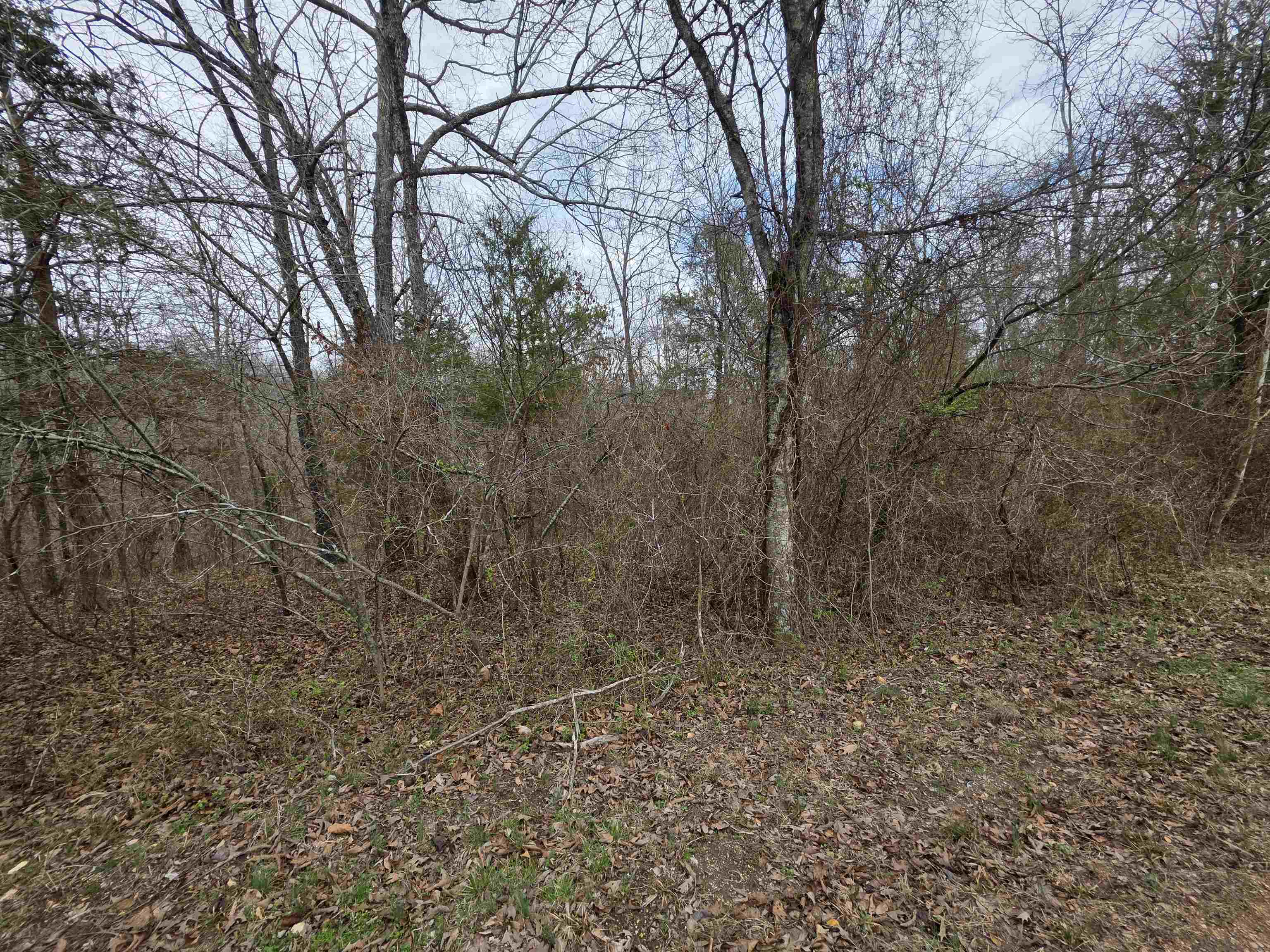 L15 B3 S Summit Ridge Drive Property Photo 6