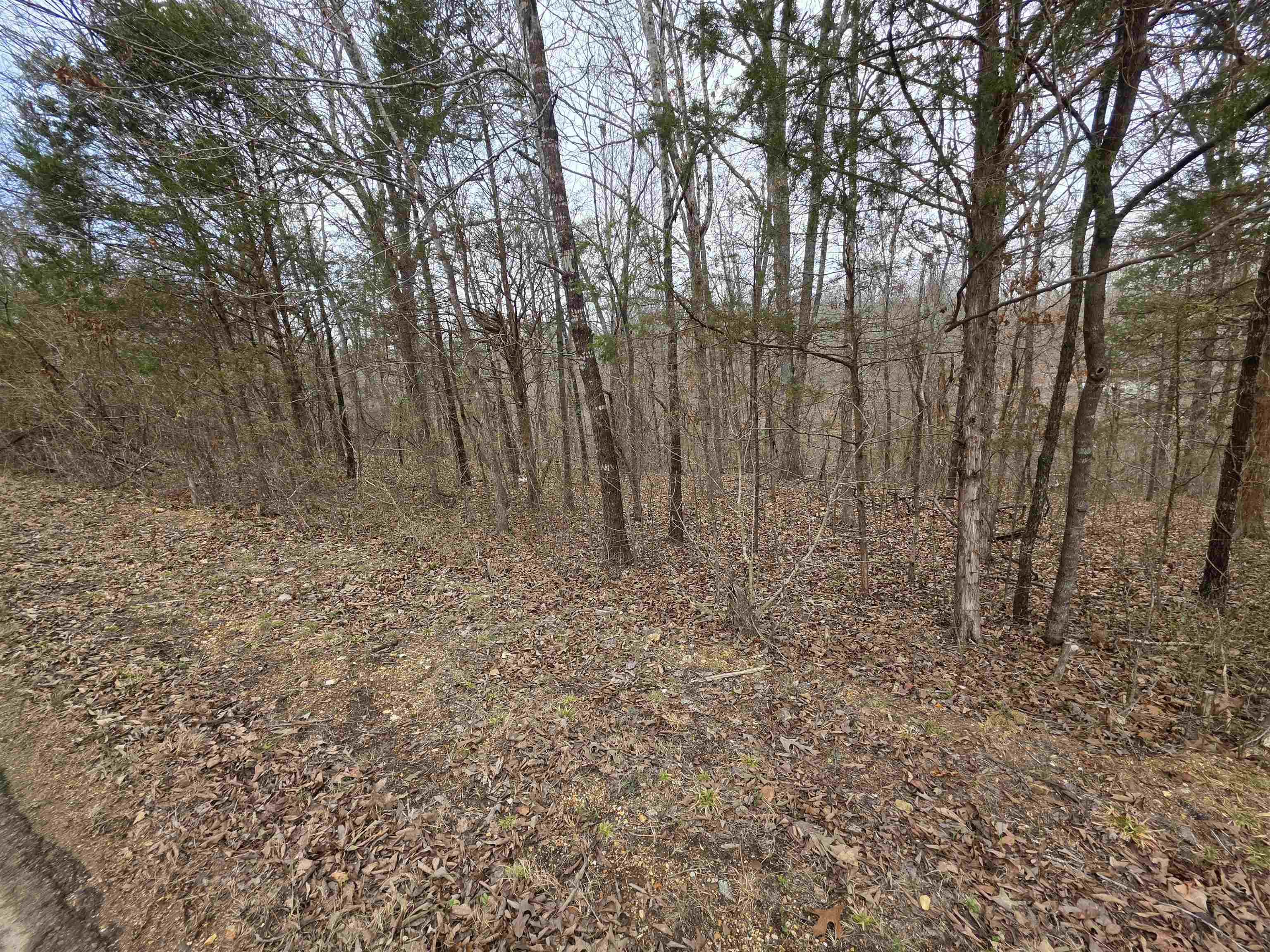 L15 B3 S Summit Ridge Drive Property Photo 7