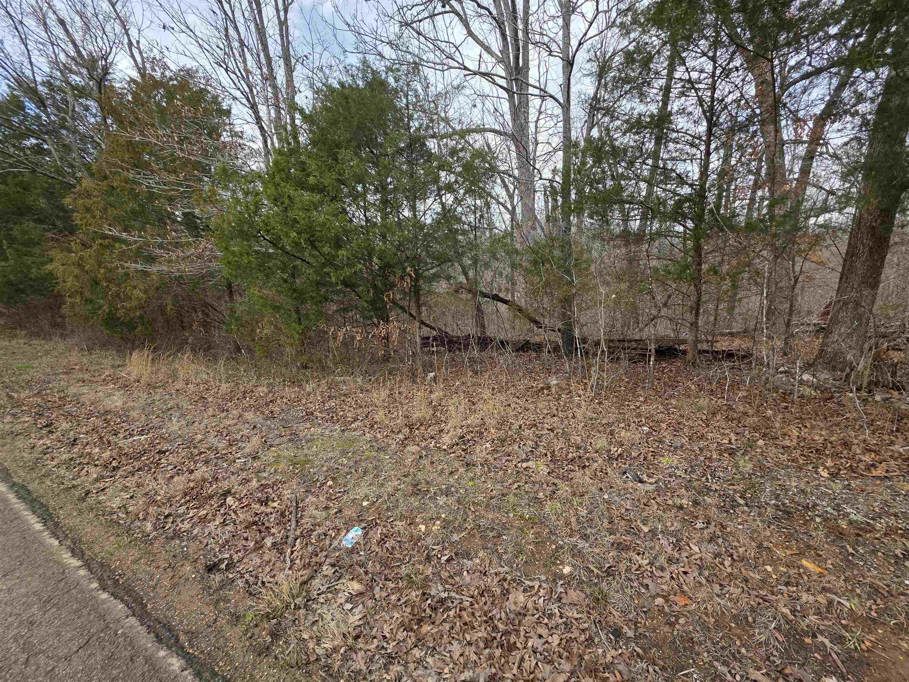 L16 B3 S Summit Ridge Drive Property Photo 2