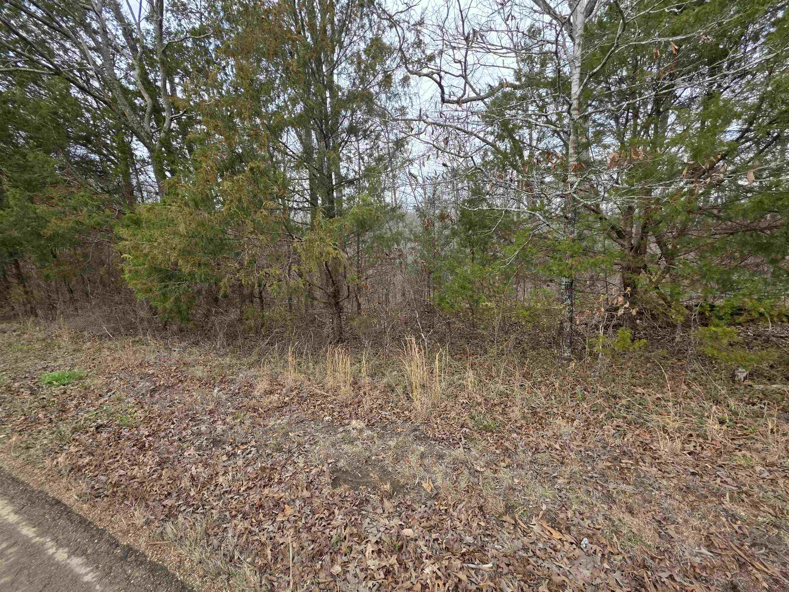 L16 B3 S Summit Ridge Drive Property Photo 3
