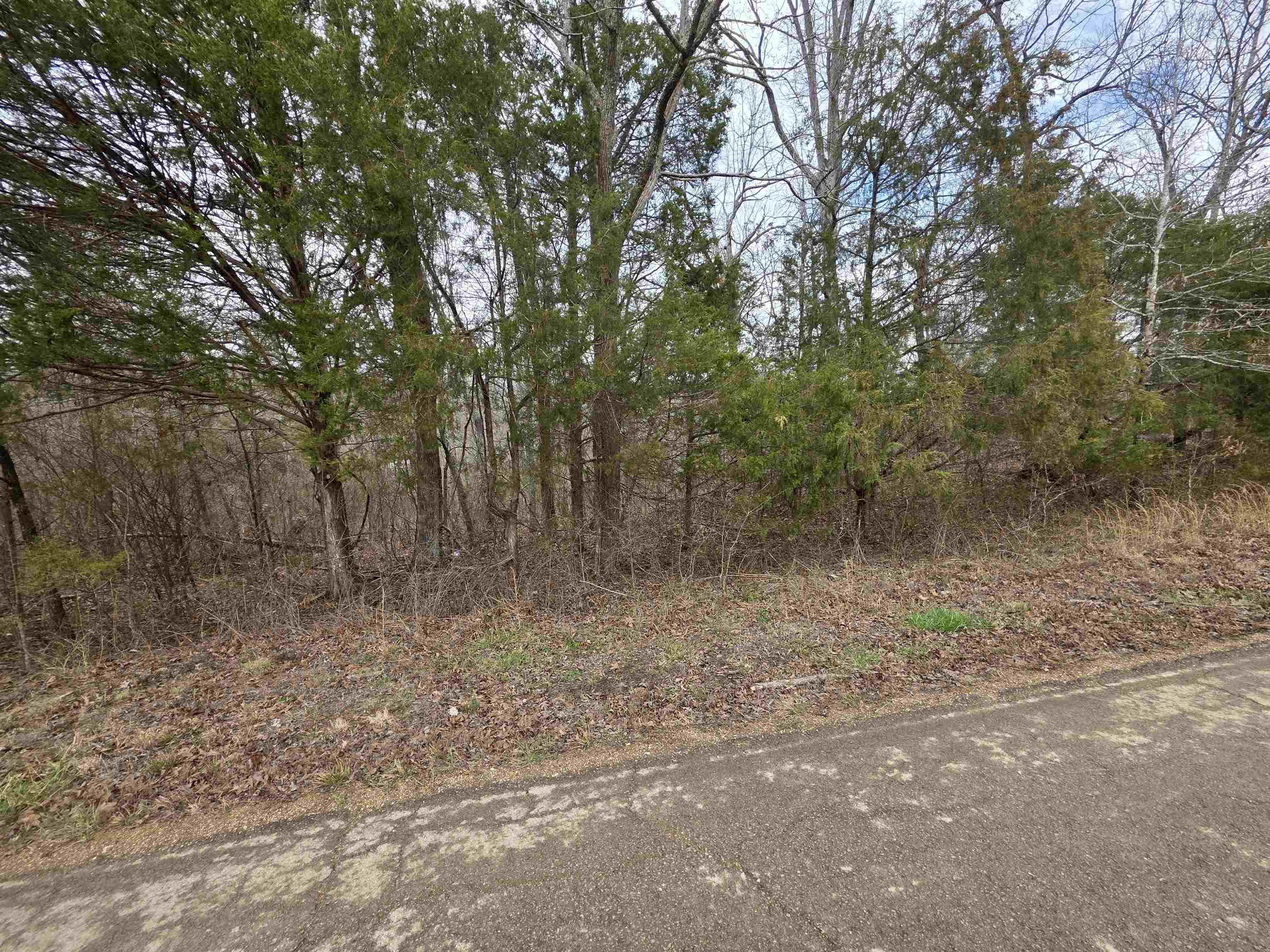 L16 B3 S Summit Ridge Drive Property Photo 4