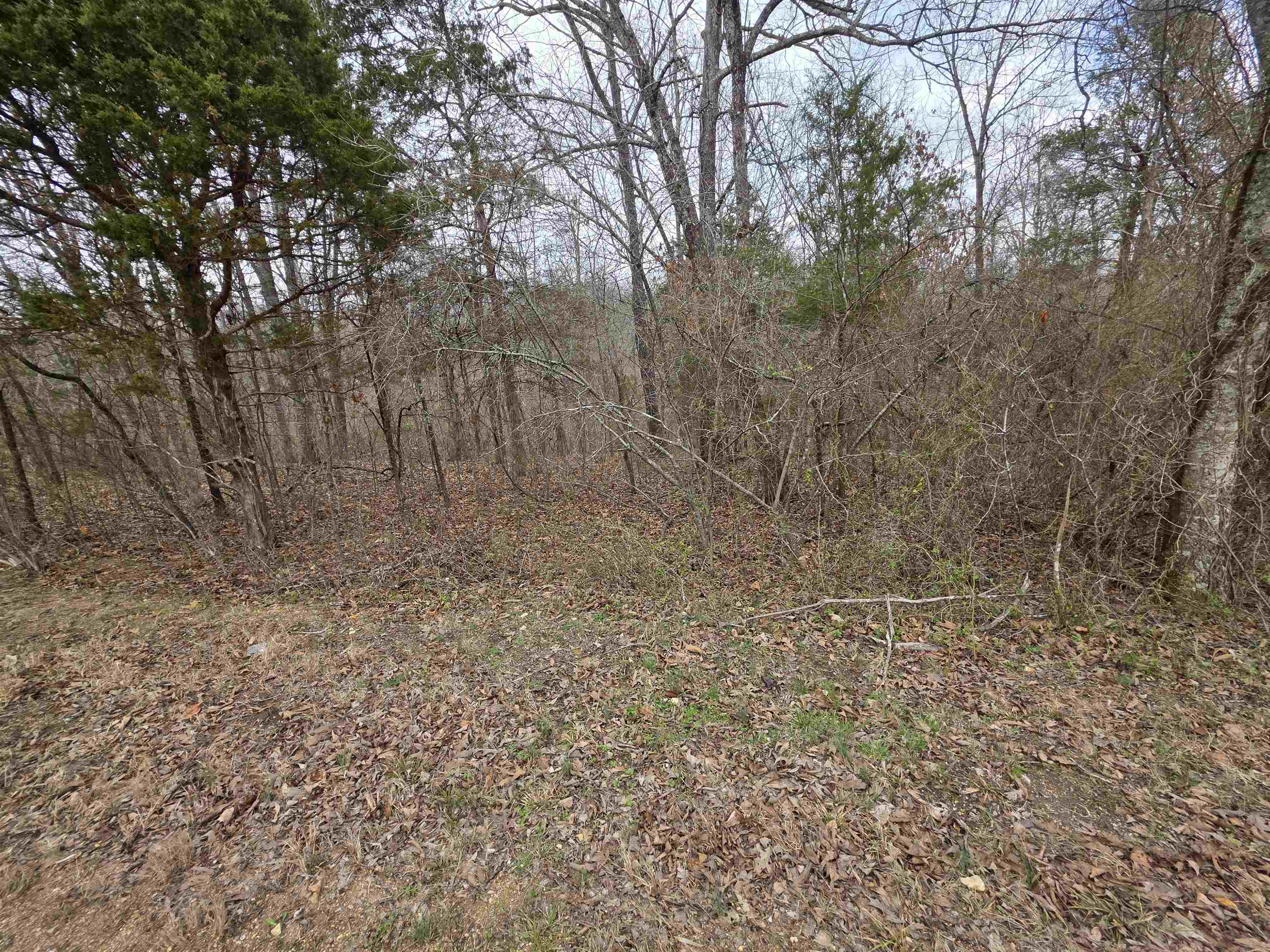 L16 B3 S Summit Ridge Drive Property Photo 8