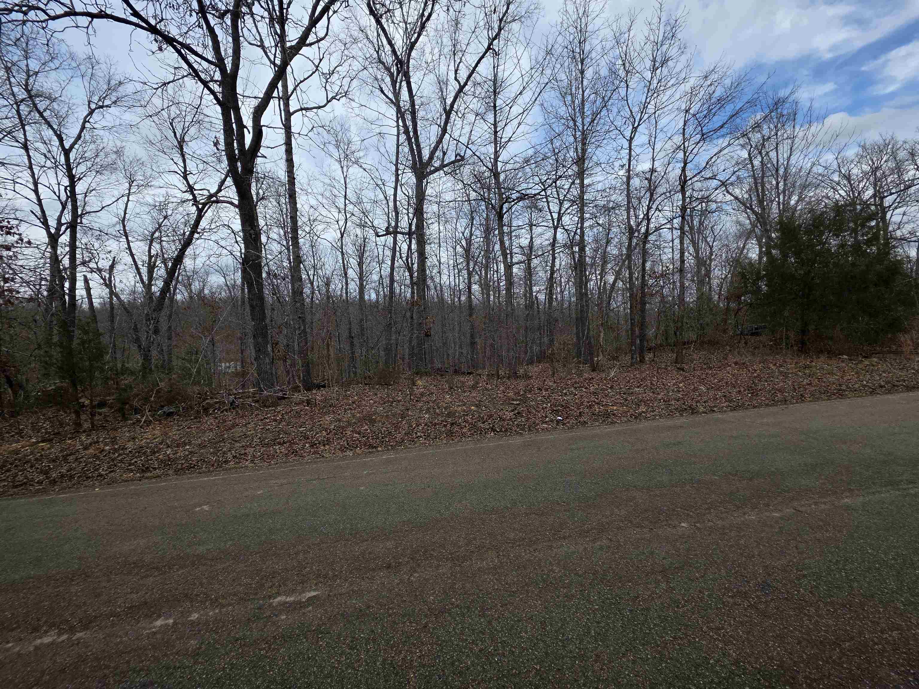 L17 B3 S Summit Ridge Drive Property Photo 4