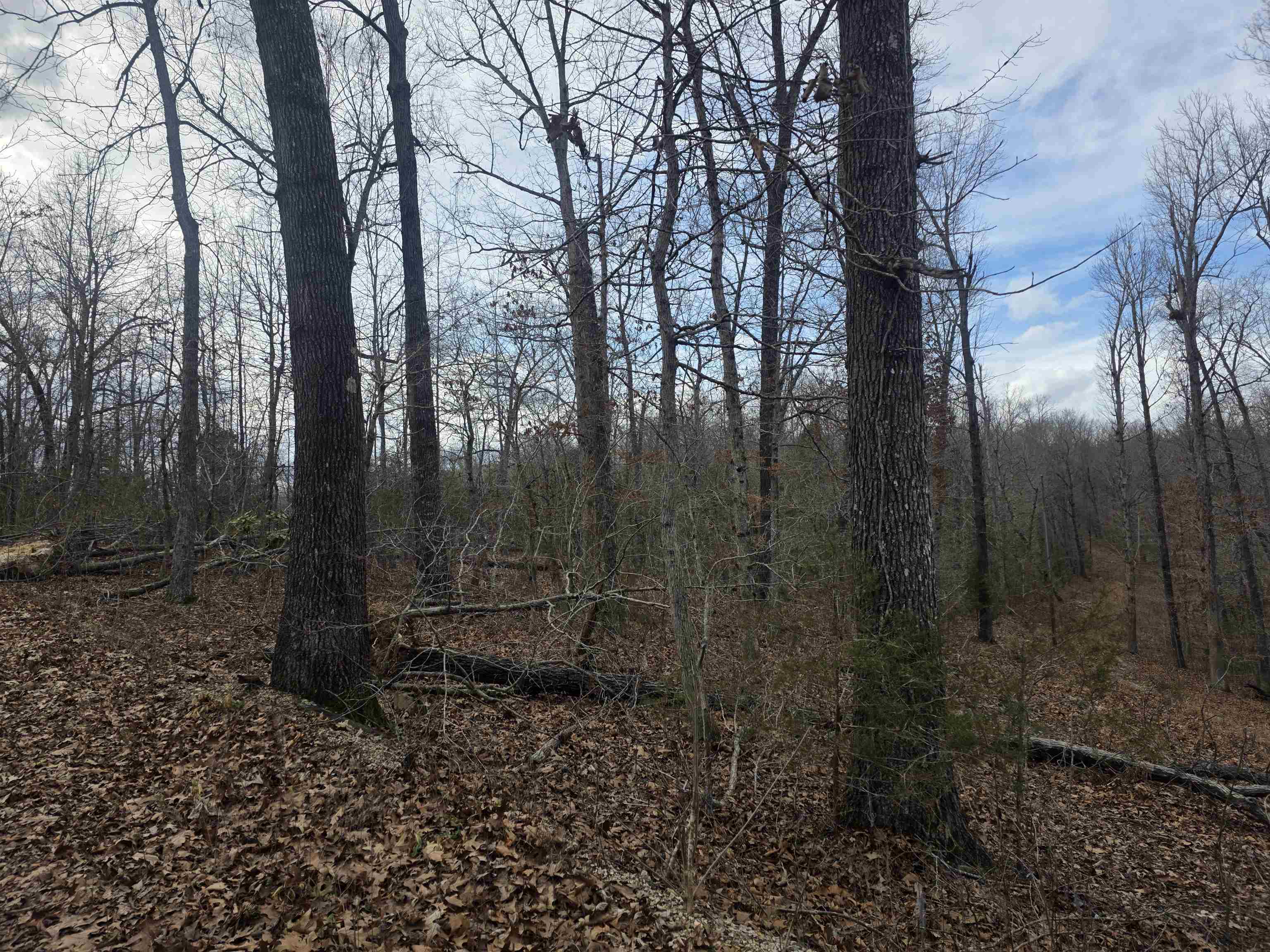 L18 B3 S Summit Ridge Drive Property Photo 1