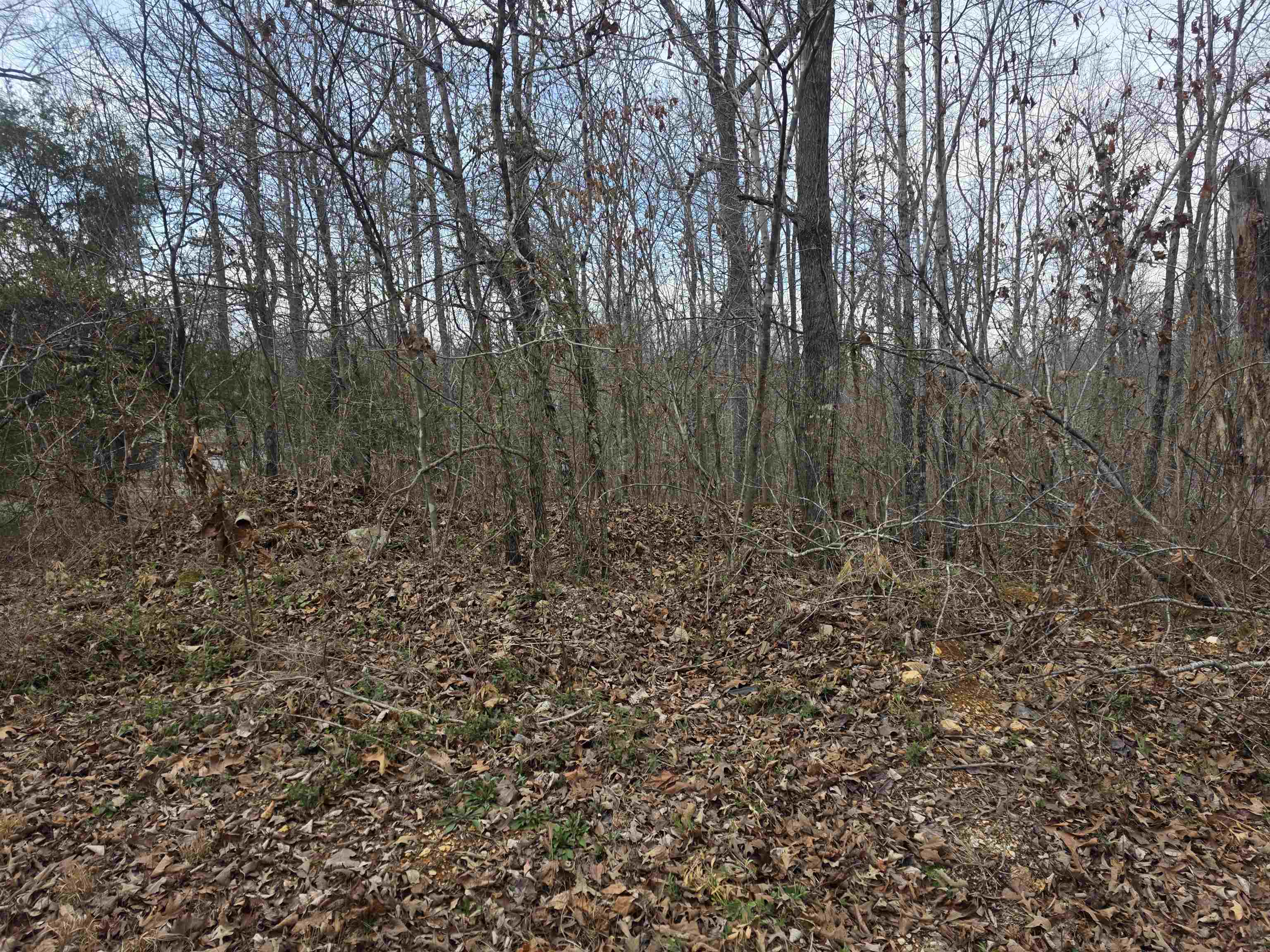 L18 B3 S Summit Ridge Drive Property Photo 2