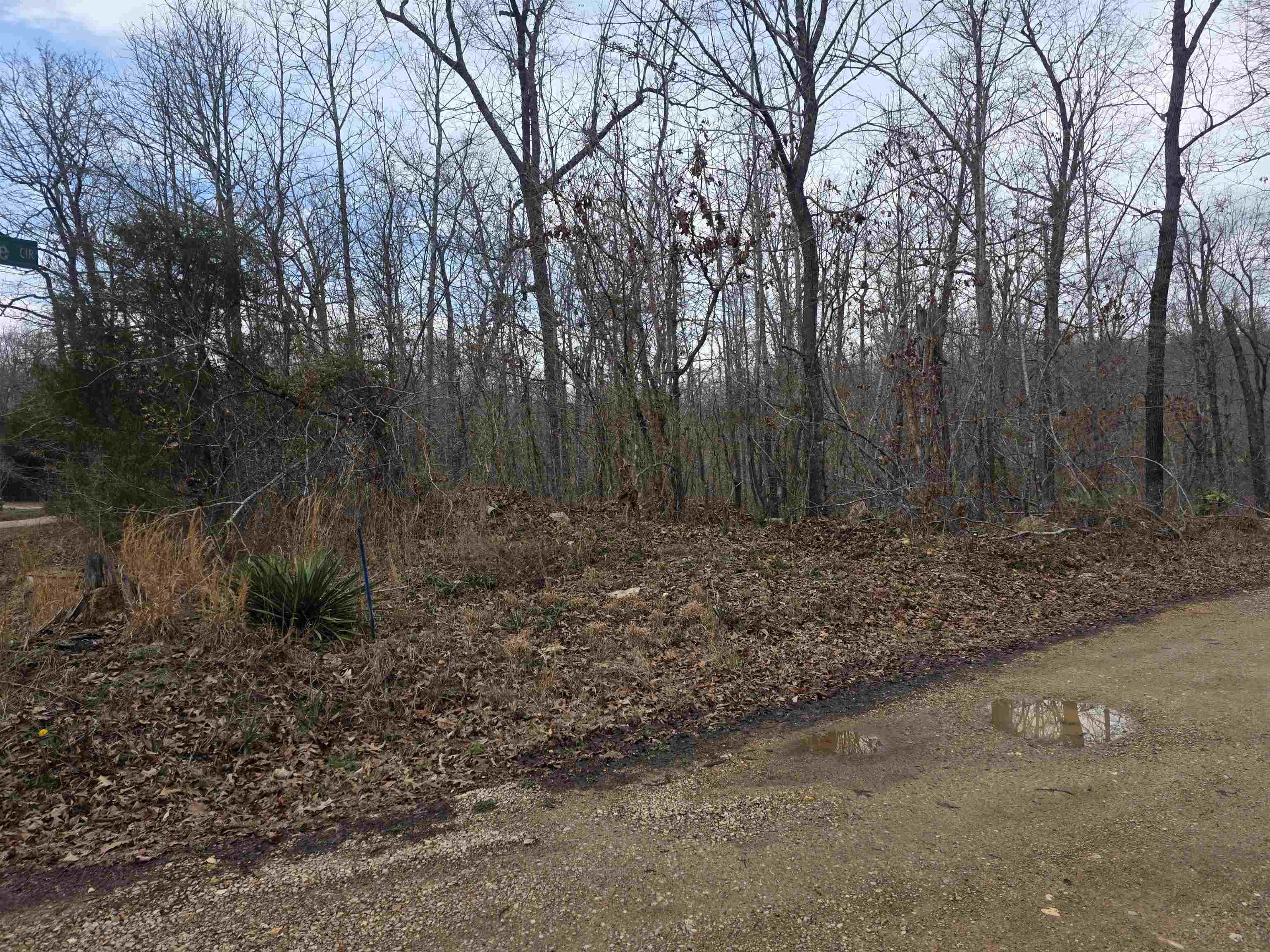 L18 B3 S Summit Ridge Drive Property Photo 3