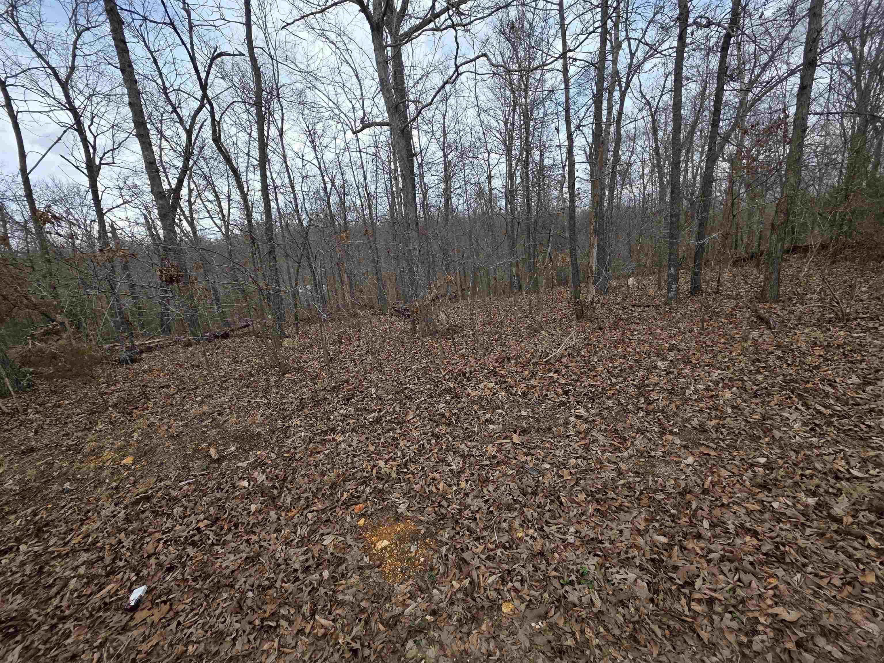 L18 B3 S Summit Ridge Drive Property Photo 10