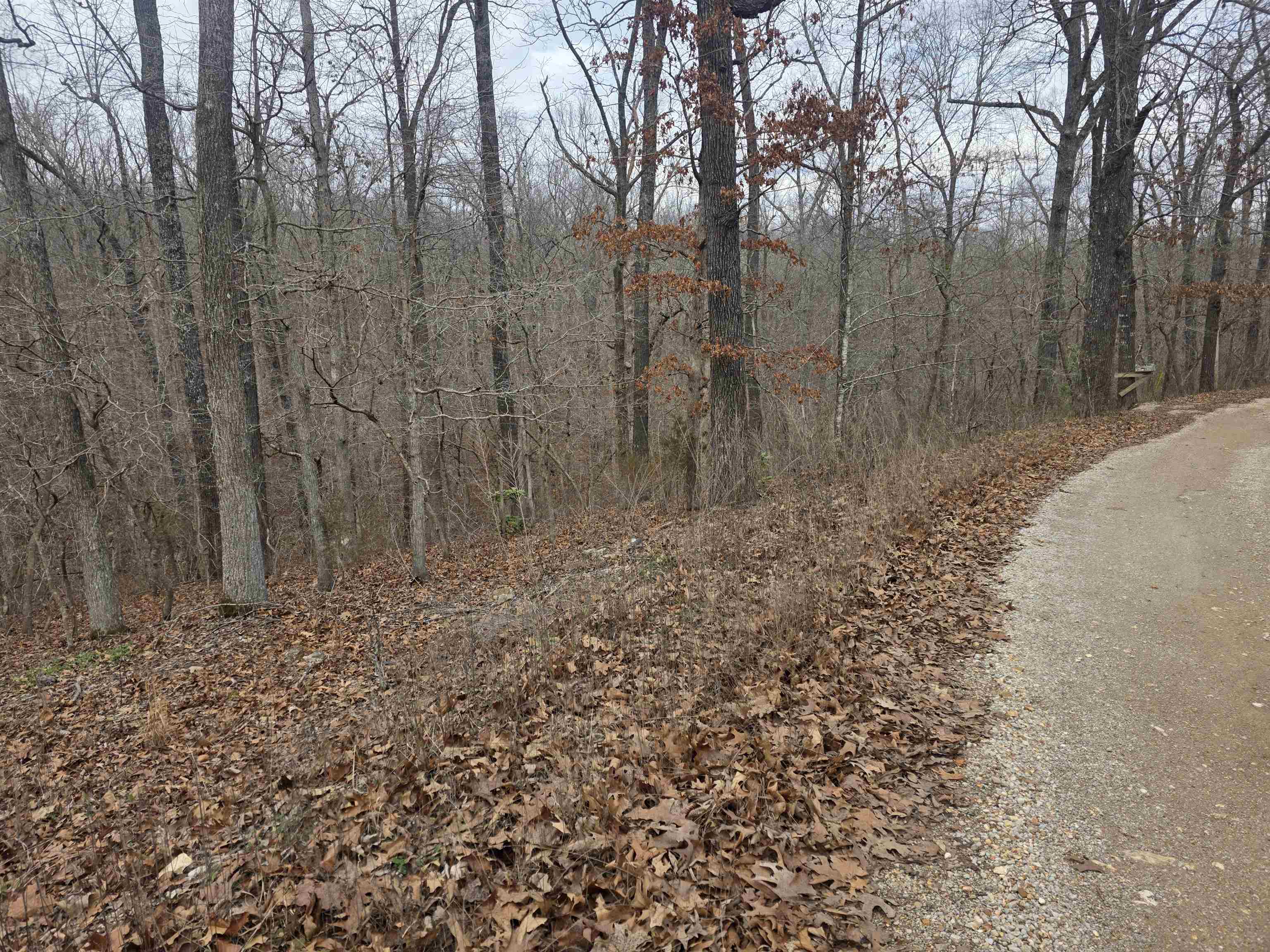 L4 B2 Bald Eagle Trail
