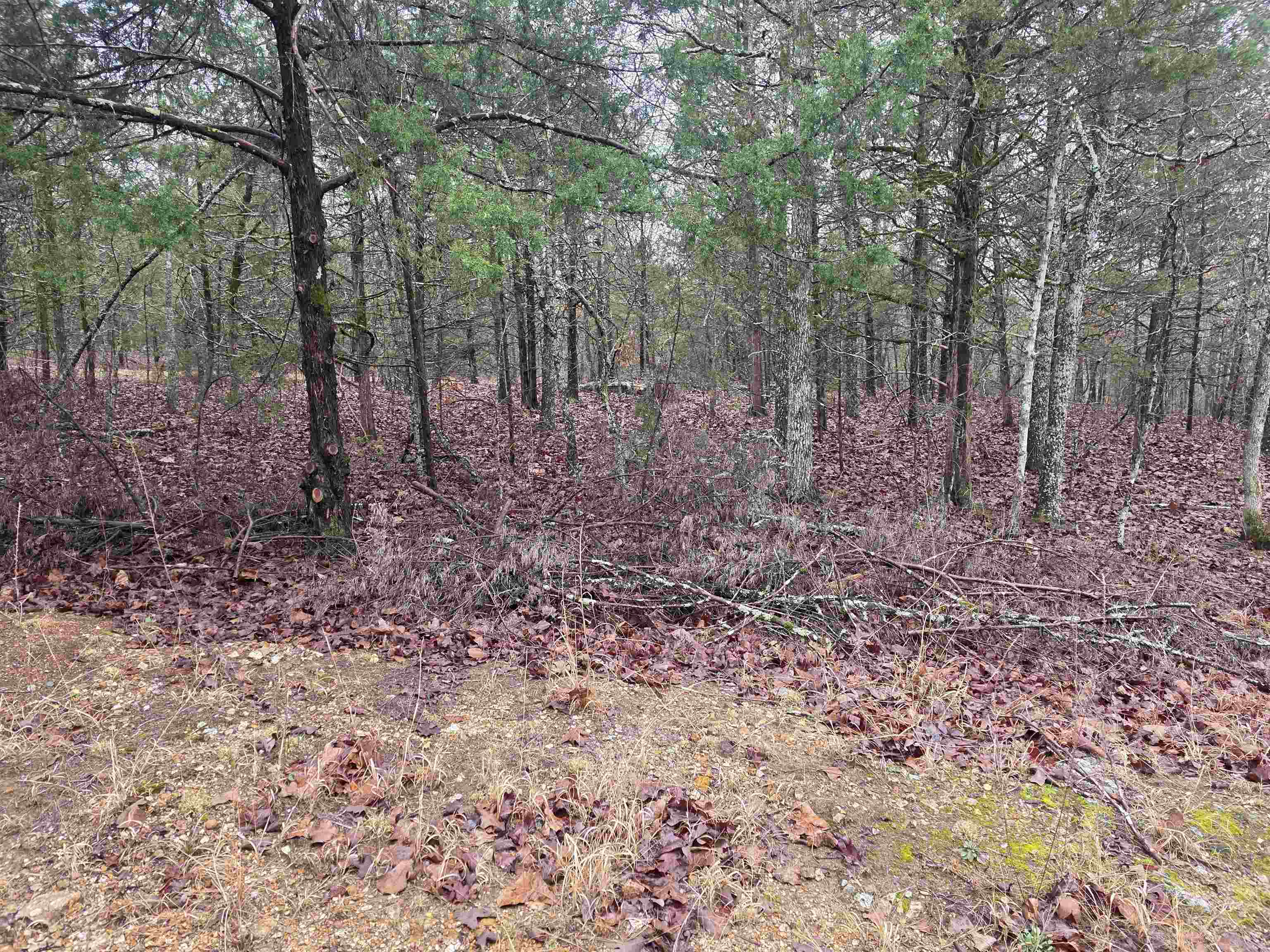 L-86,87 B-2 Gettysburg Drive Property Photo 1