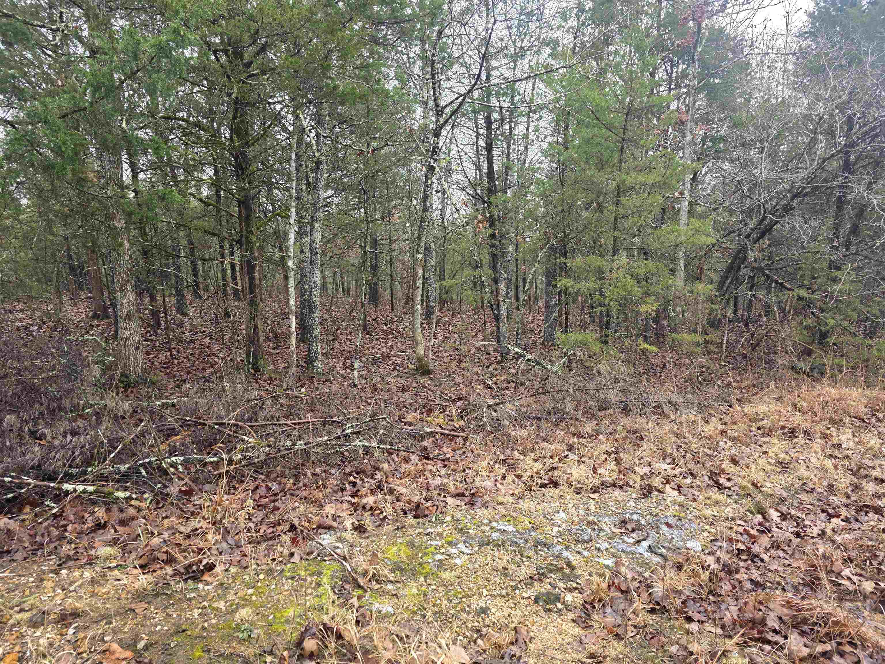 L-86,87 B-2 Gettysburg Drive Property Photo 2