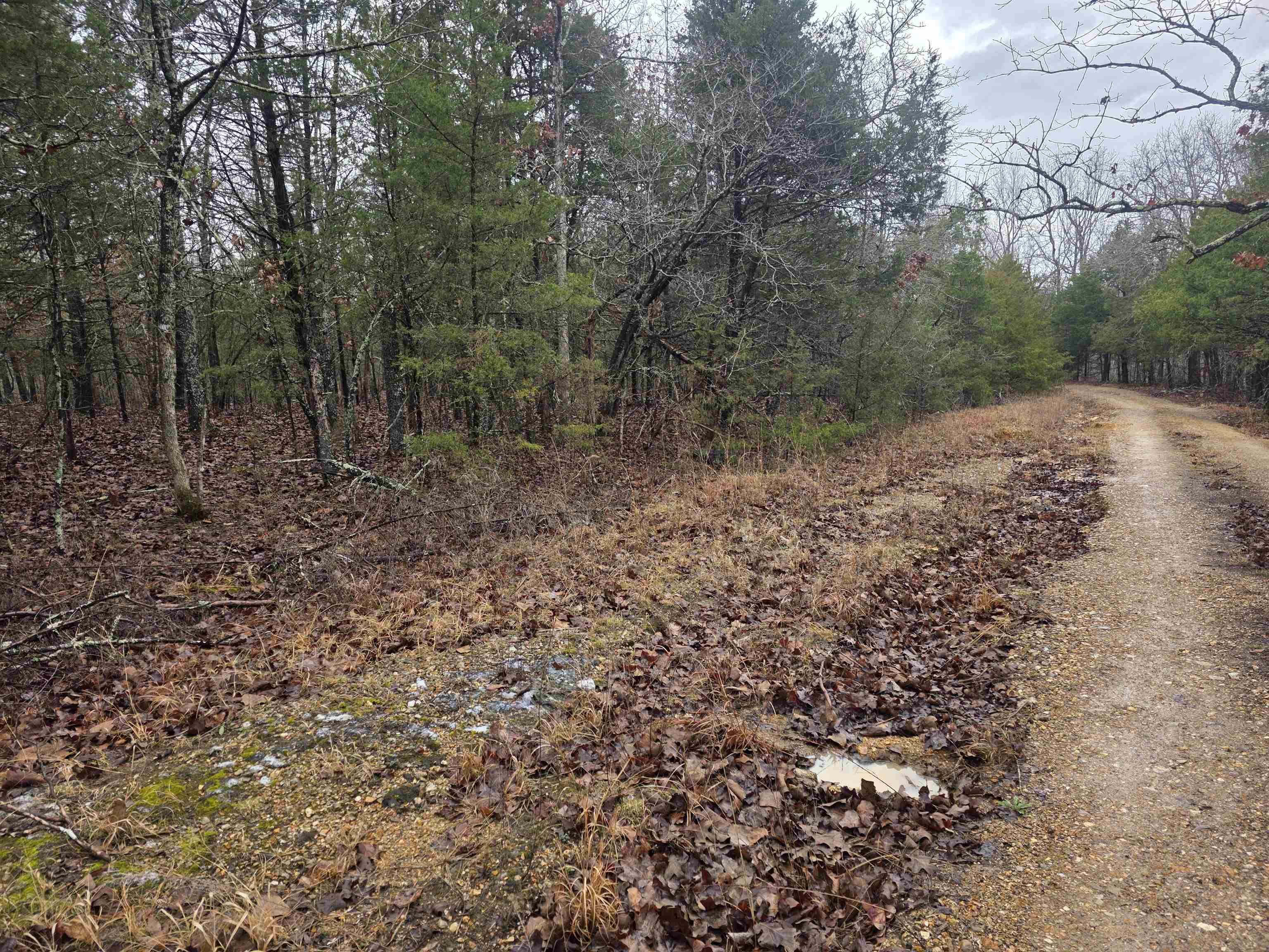L-86,87 B-2 Gettysburg Drive Property Photo 3