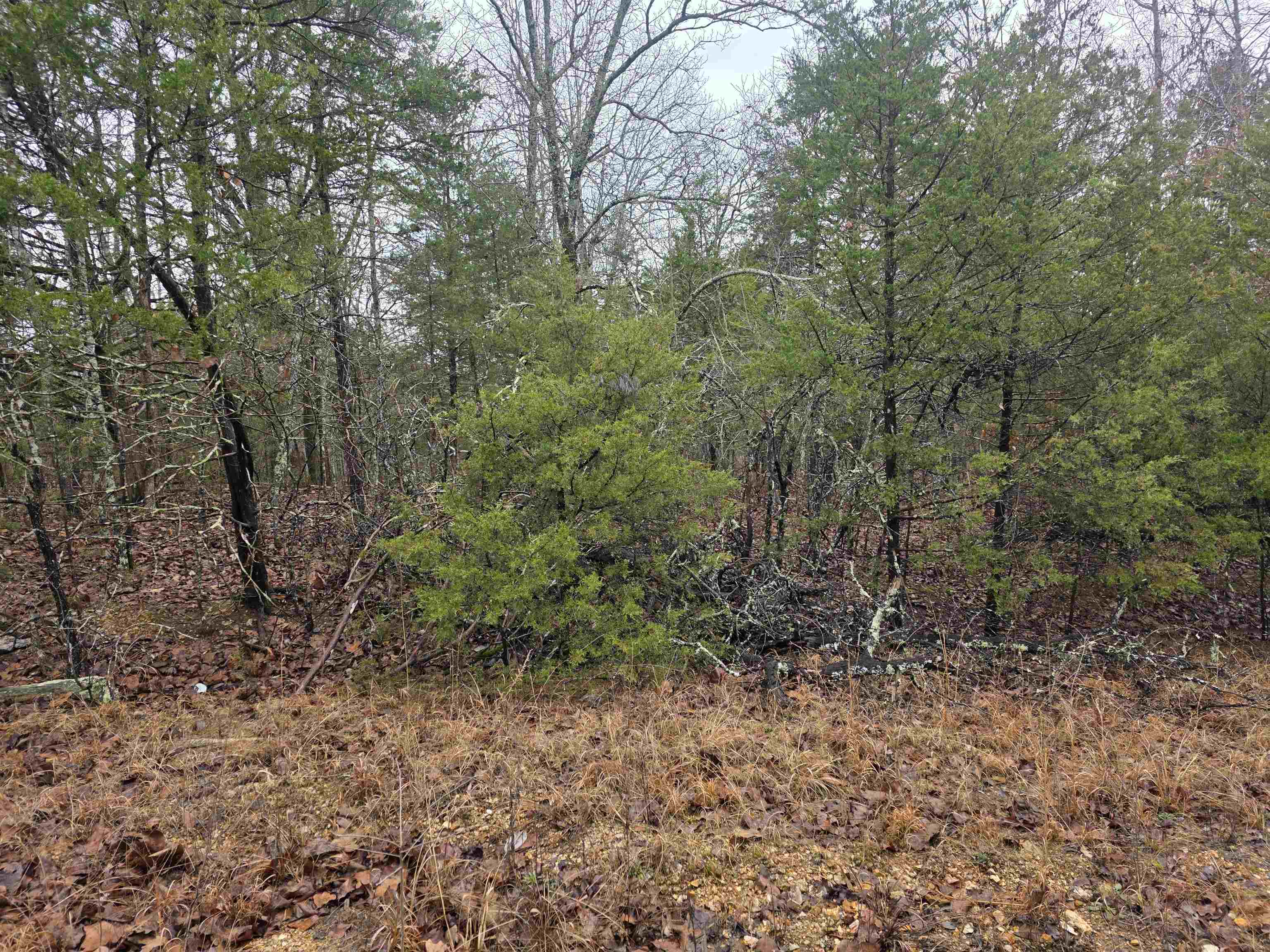 L-86,87 B-2 Gettysburg Drive Property Photo 8