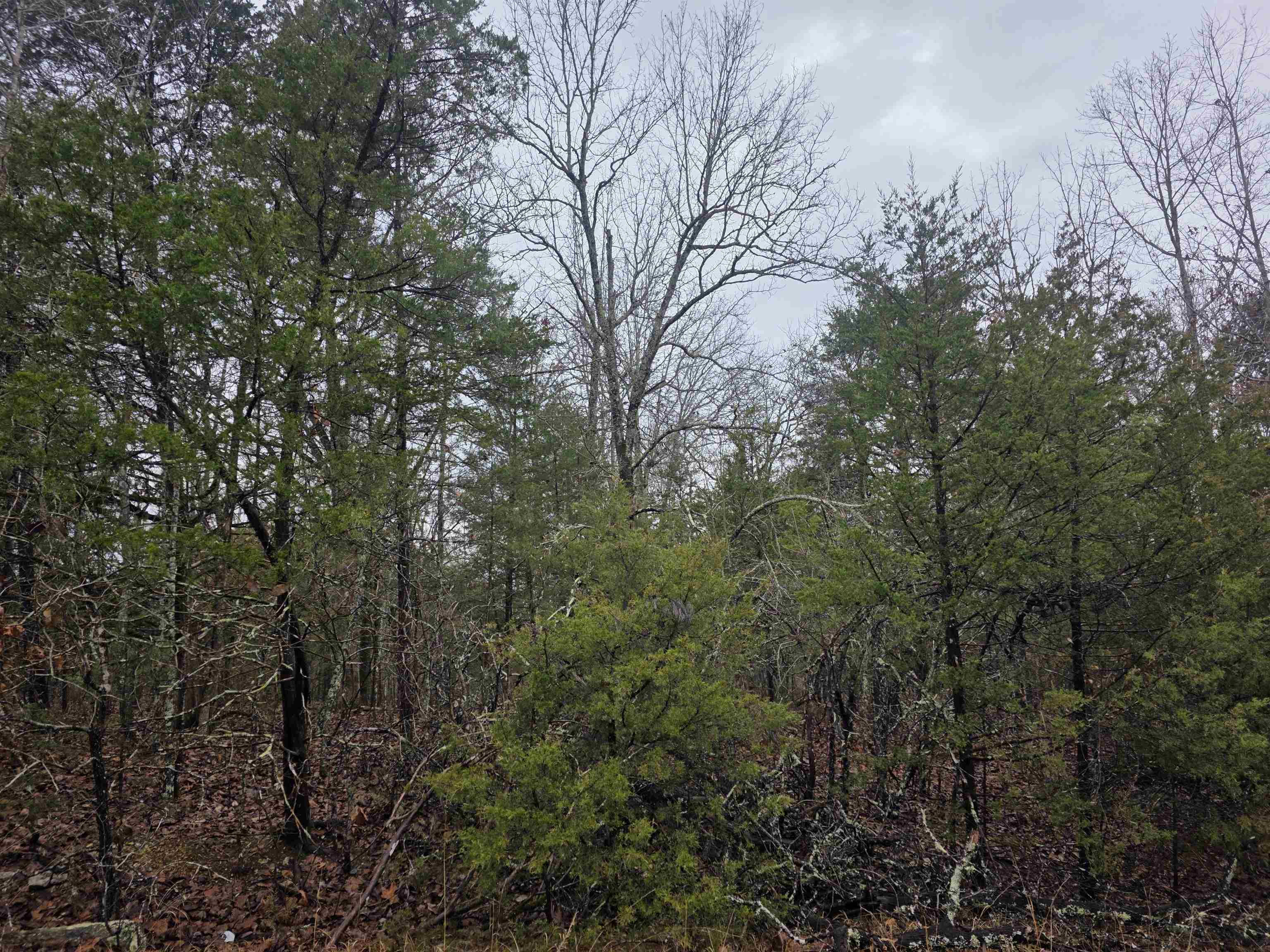 L-86,87 B-2 Gettysburg Drive Property Photo 10