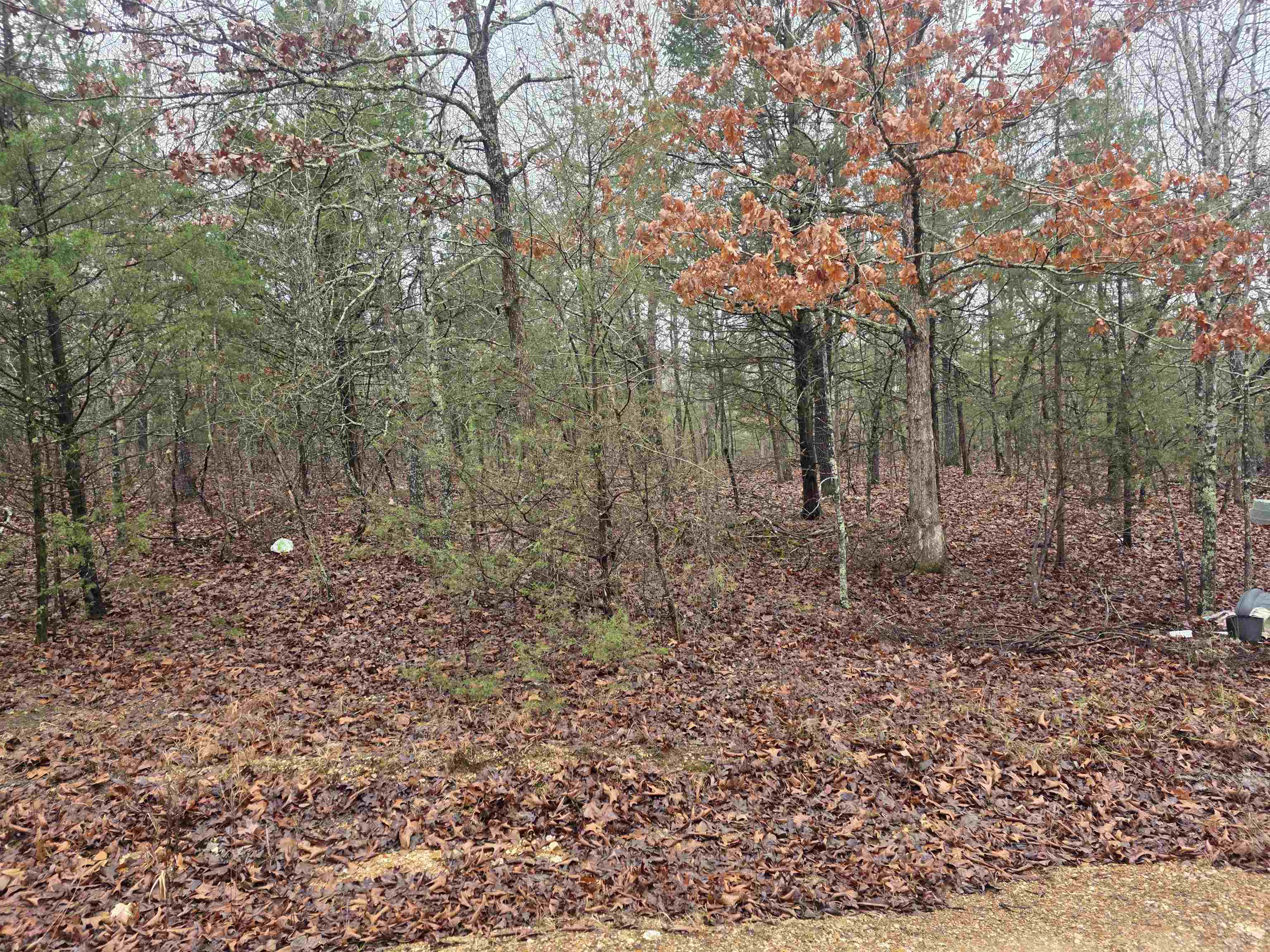 L-86,87 B-2 Gettysburg Drive Property Photo 13