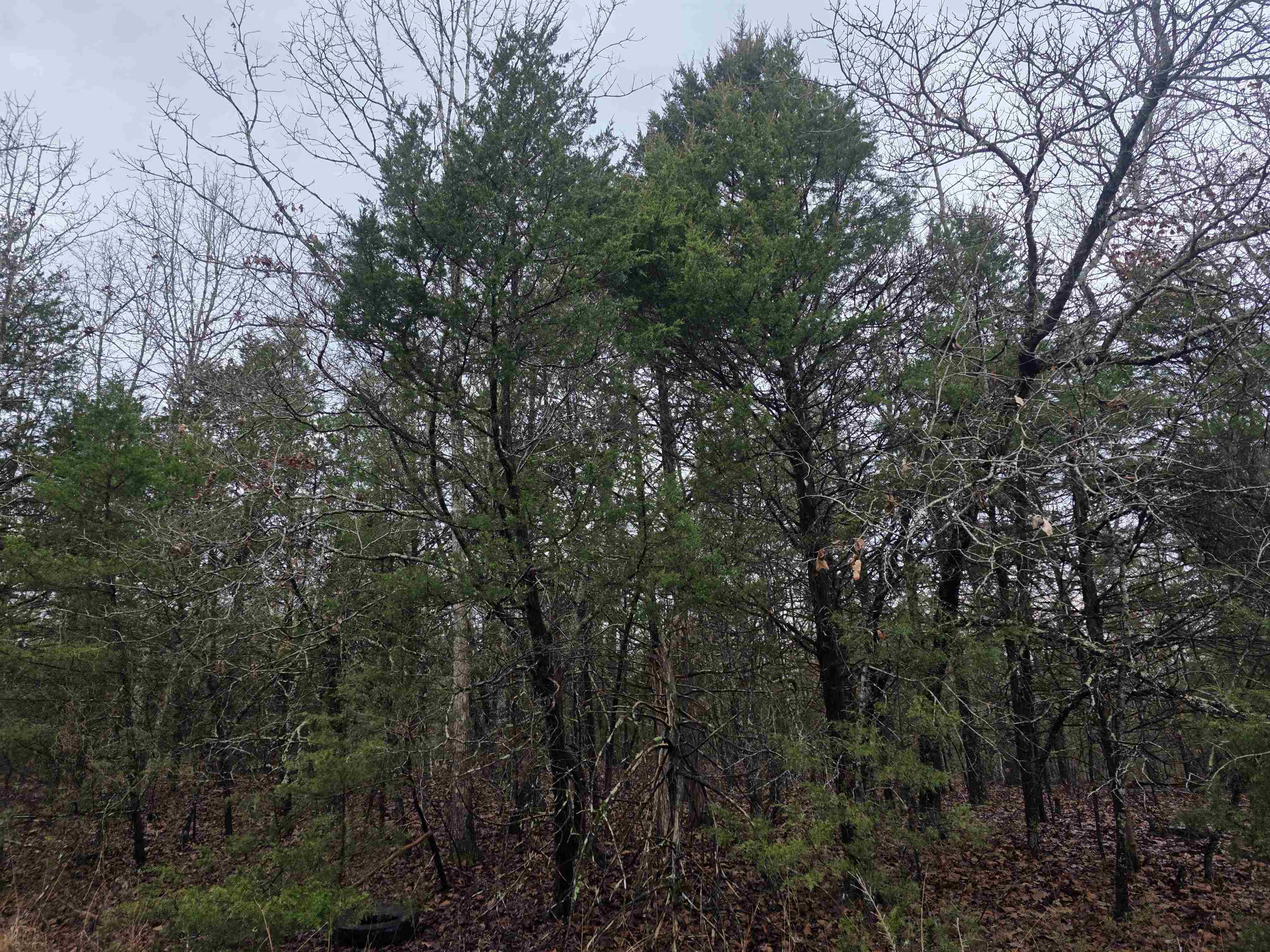 L-86,87 B-2 Gettysburg Drive Property Photo 14