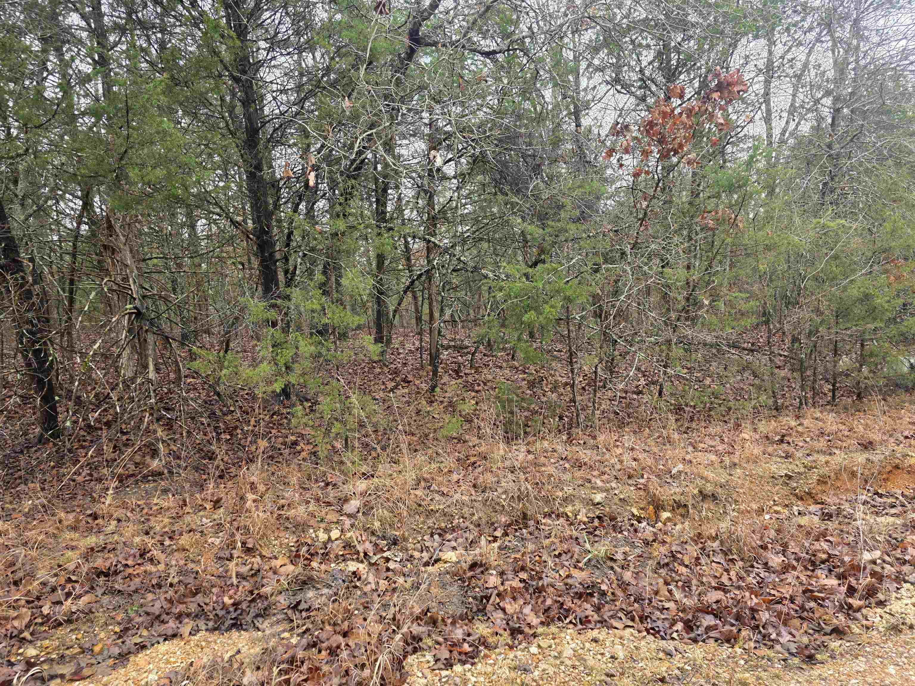 L-86,87 B-2 Gettysburg Drive Property Photo 15
