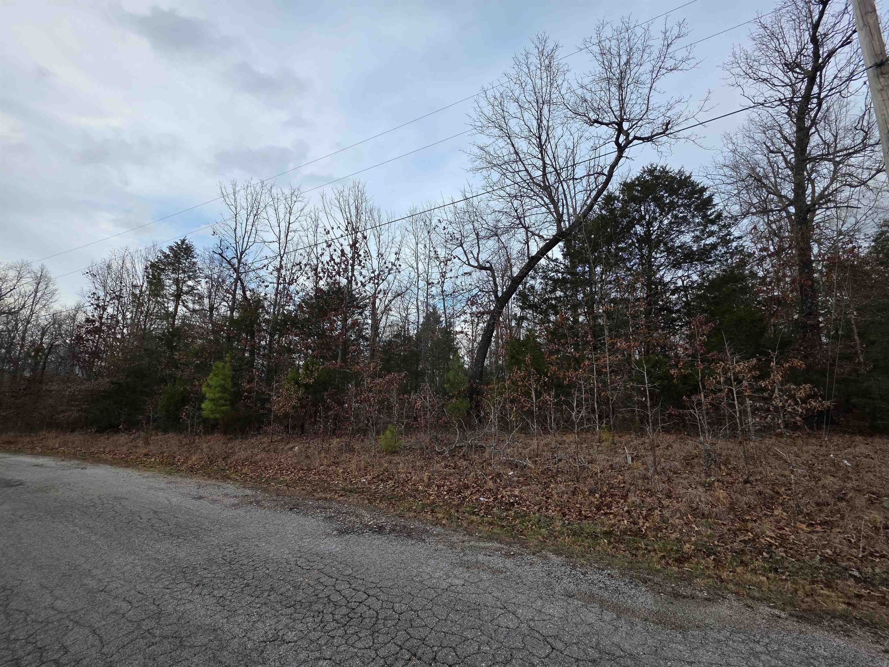 7 Lots Cherokee Village Property Photo 4