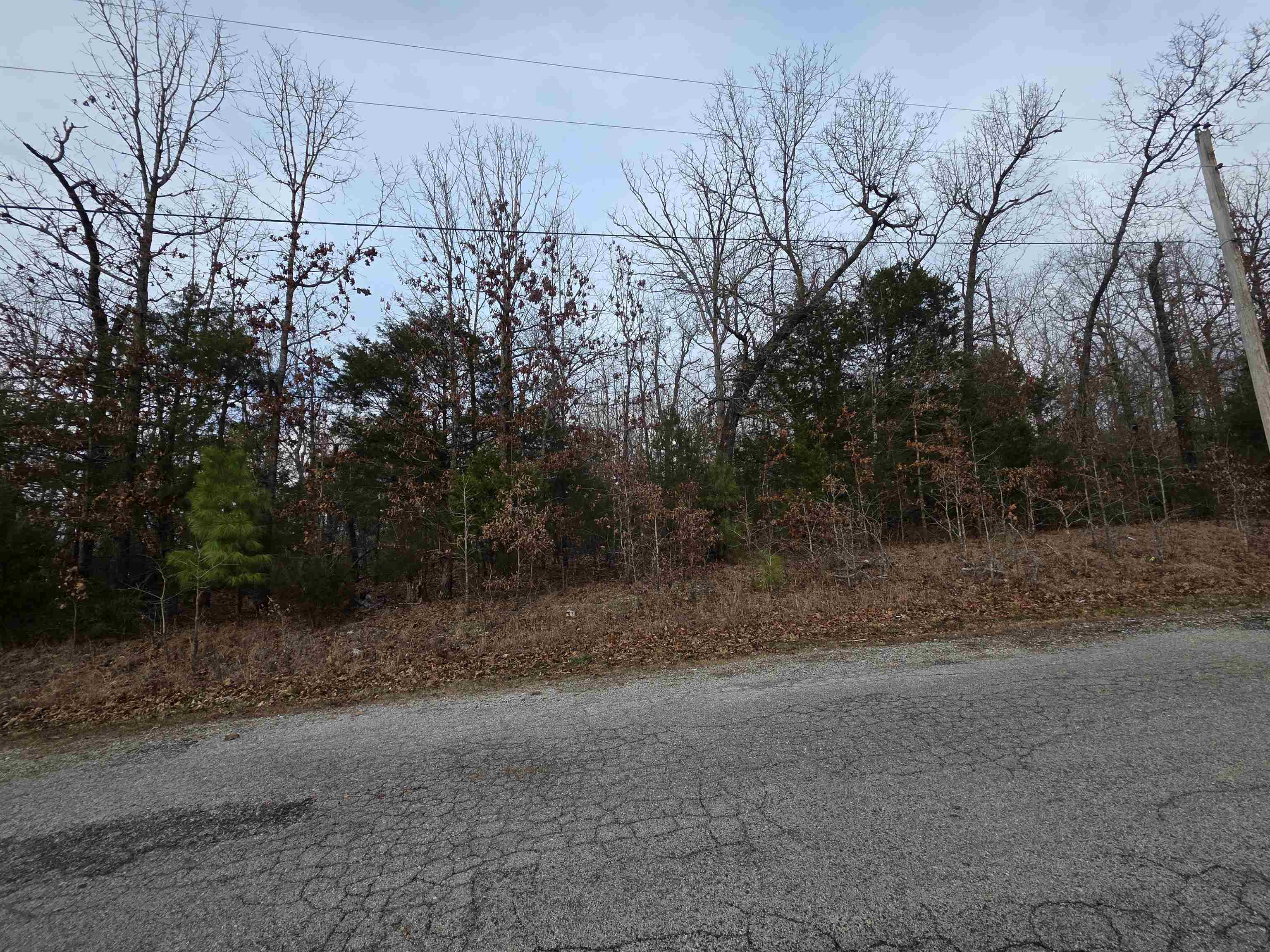 7 Lots Cherokee Village Property Photo 5