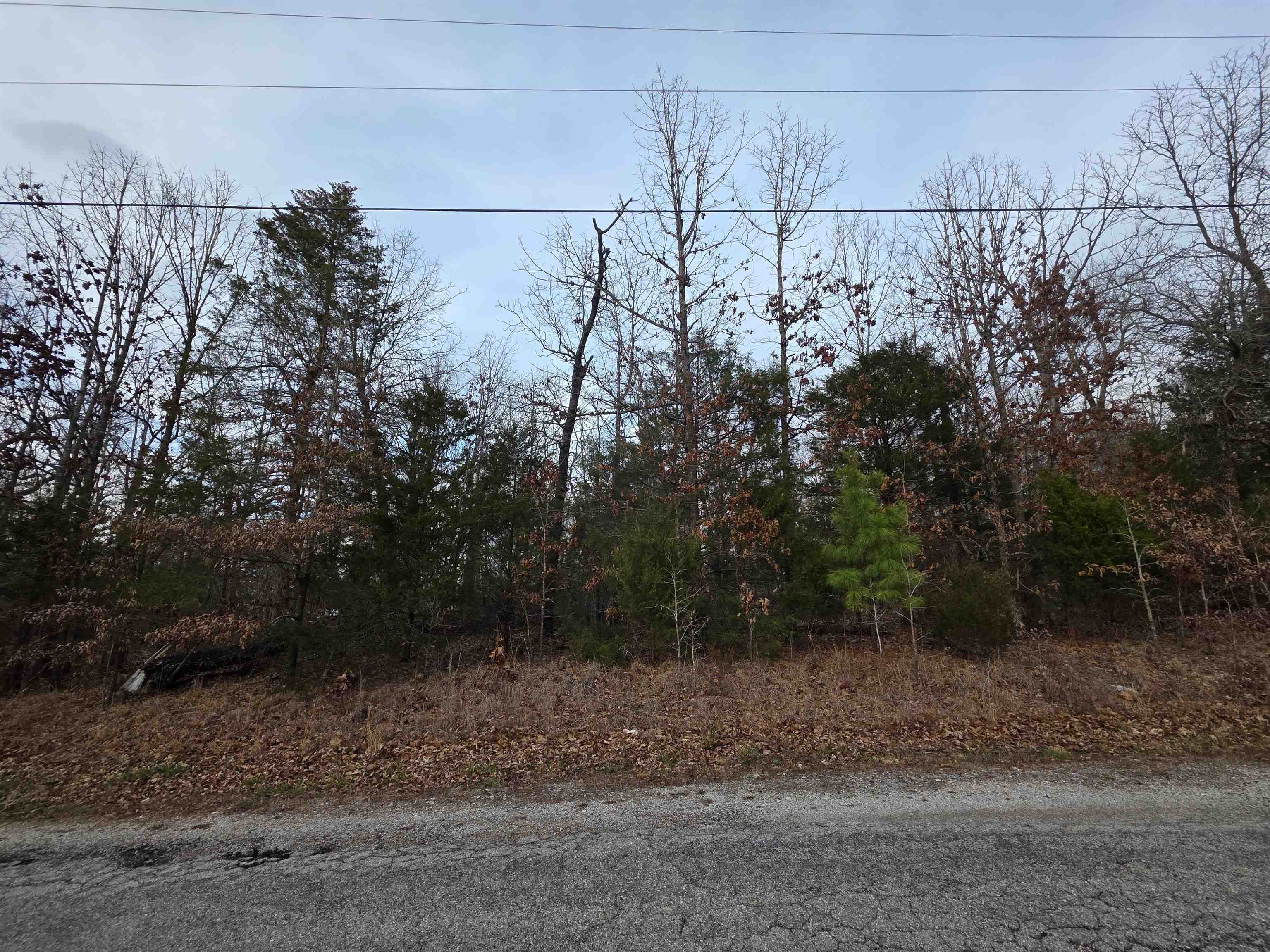 7 Lots Cherokee Village Property Photo 6