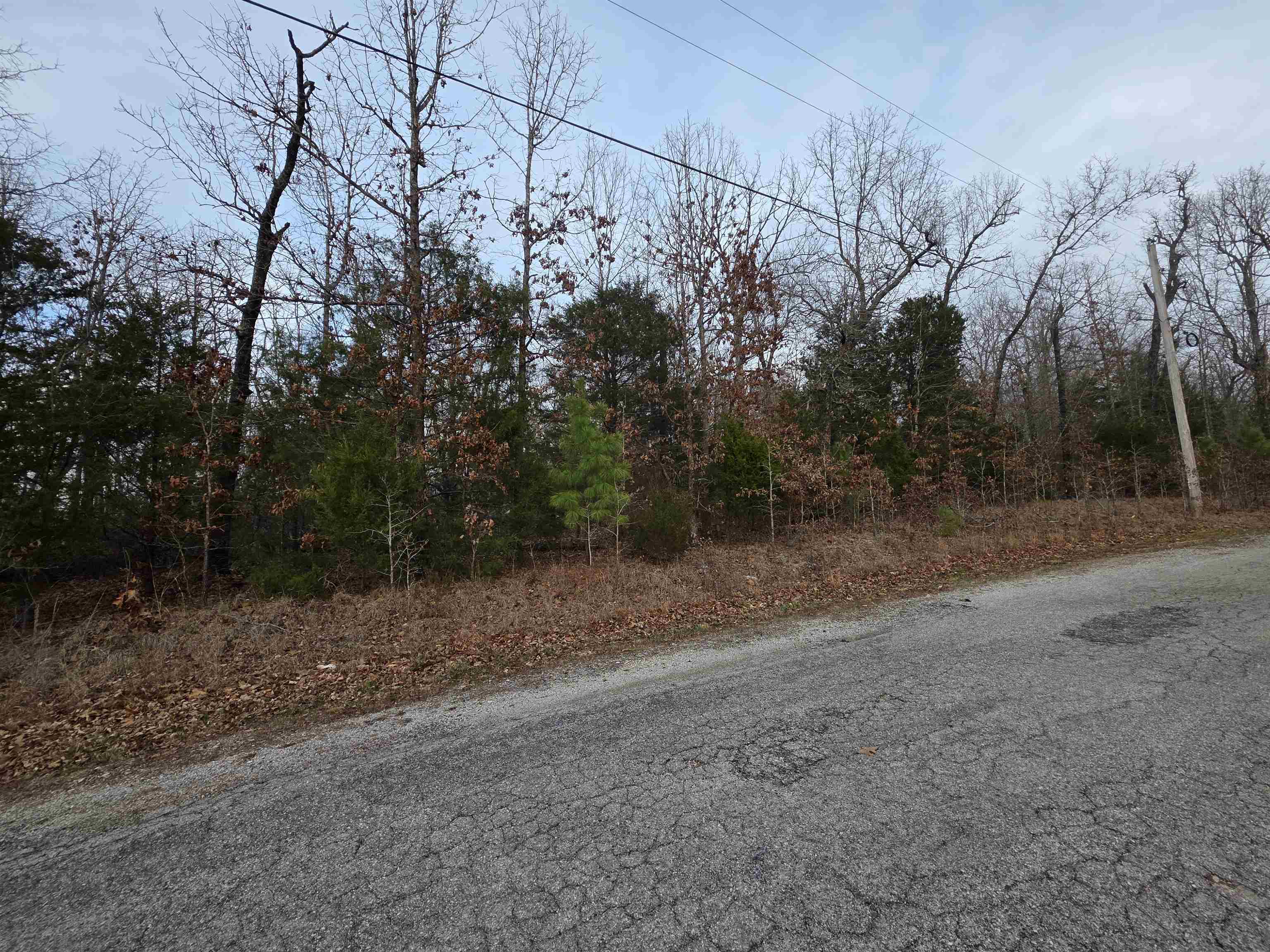 7 Lots Cherokee Village Property Photo 7