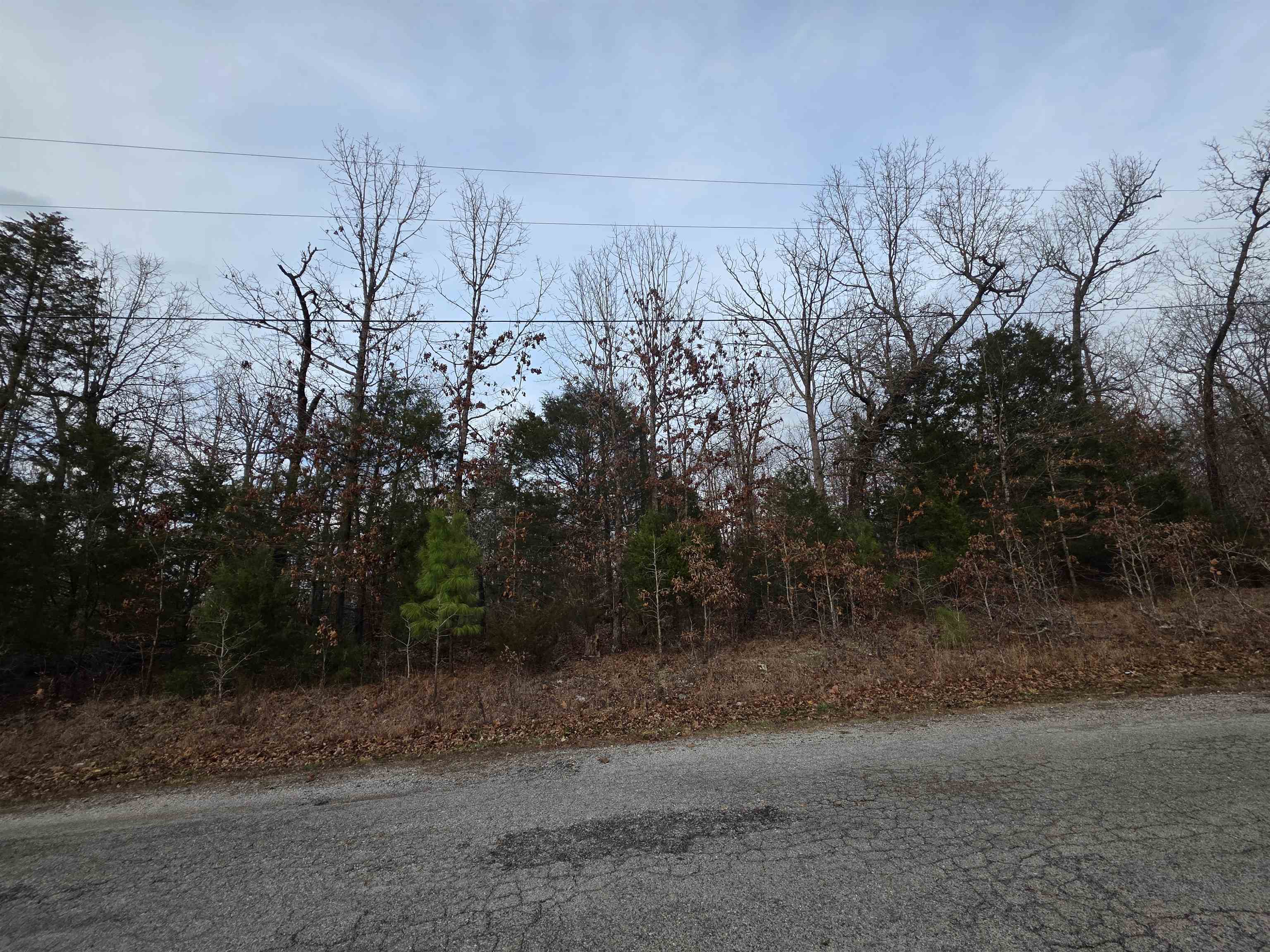 7 Lots Cherokee Village Property Photo 8