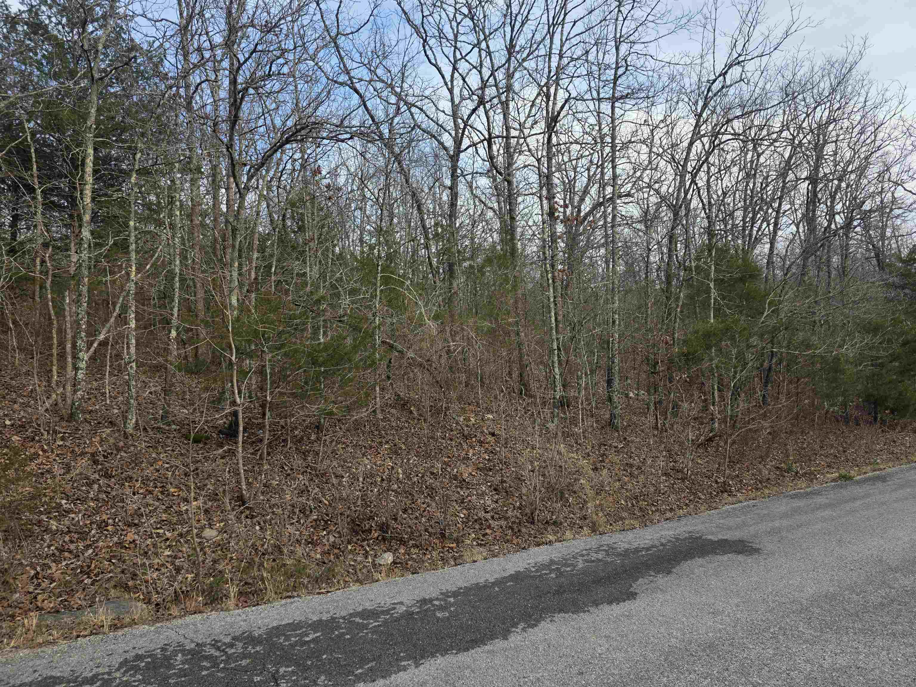 7 Lots Cherokee Village Property Photo 11